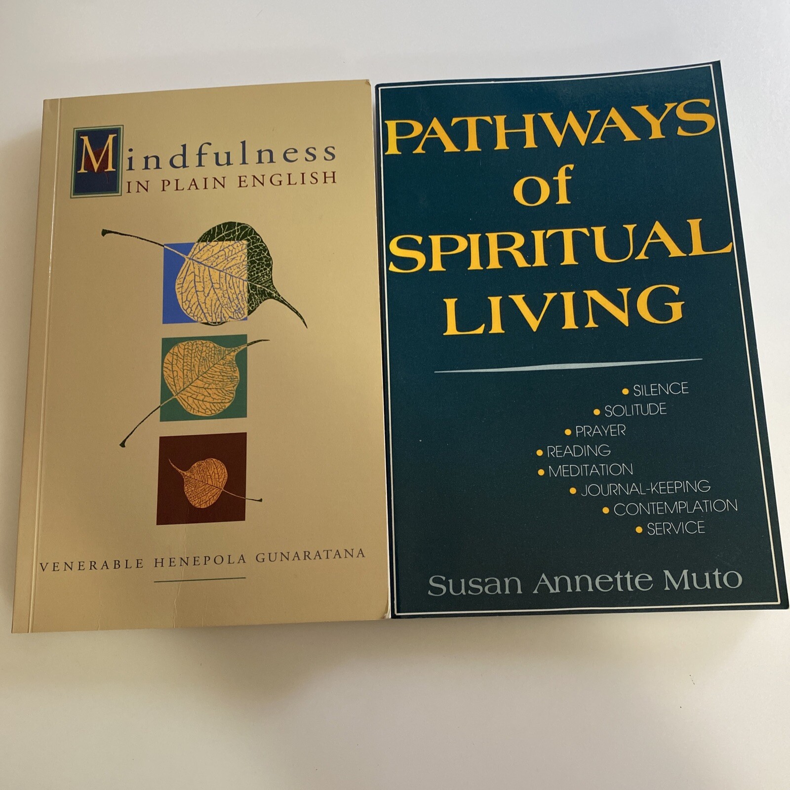 Mindfulness in Plain English Paperback Henepola Gunaratana PLUS similar PB ab7