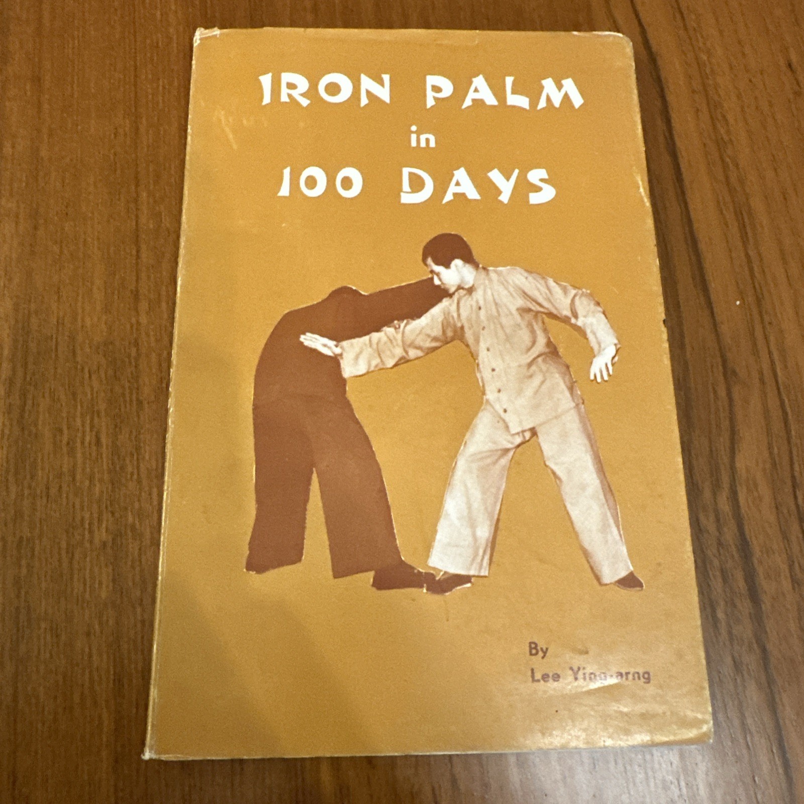 1968 1st EDITION IRON PALM IN 100 DAYS BY LEE YING-ARNG KUNG FU KARATE