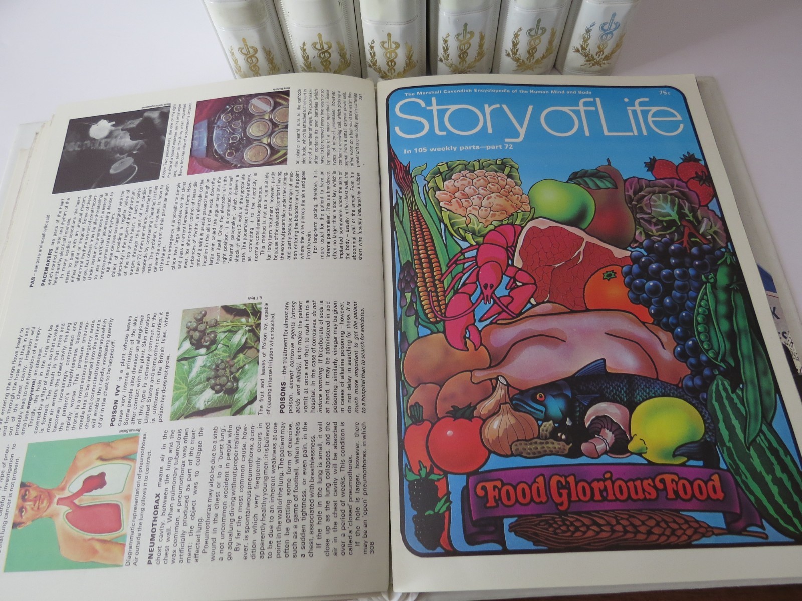 Story of Life 7 Binders Set Lot of Medicinal Health Books by Marshall Cavendish