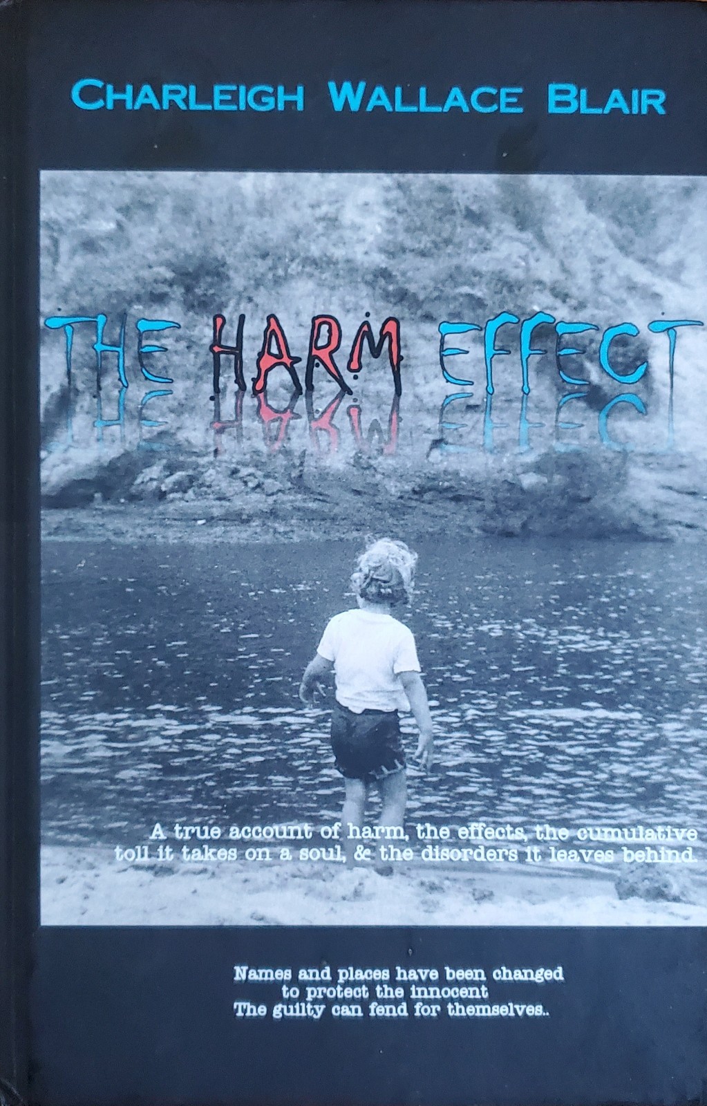 The Harm Effect: An Autobiography, Paperback