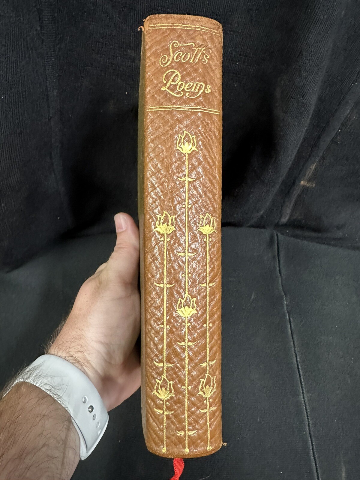 The Complete Poetical Works of Sir Walter Scott, Crowell 1894 LEATHER