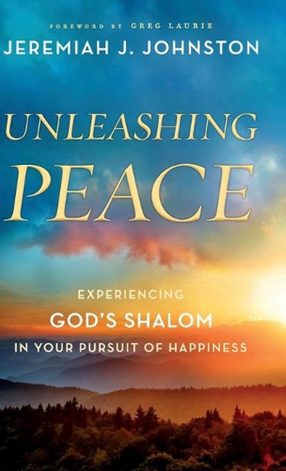 Unleashing Peace: Experiencing God’s Shalom in Your Pursuit of Happiness by Jere
