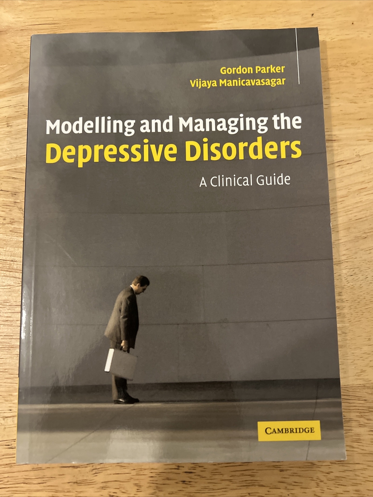 Modelling And Managing the Depressive Disorders : A Clinical Guide, Paperback.