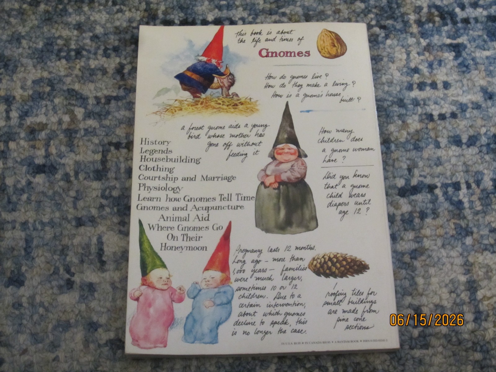 Gnomes Huygen Poortvliet 1979 1st PB printing art fairy fantasy forest draw Soft