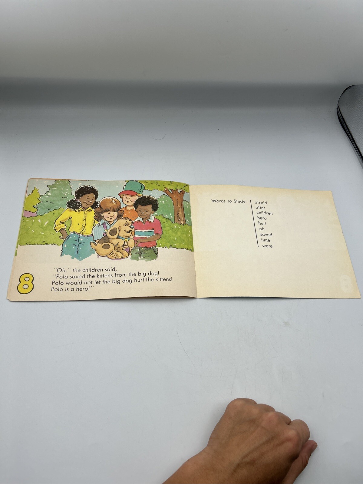 The Hero Book 10 (Sight Word Program) by Alvin Granowsky ‘83 Modern Curriculum