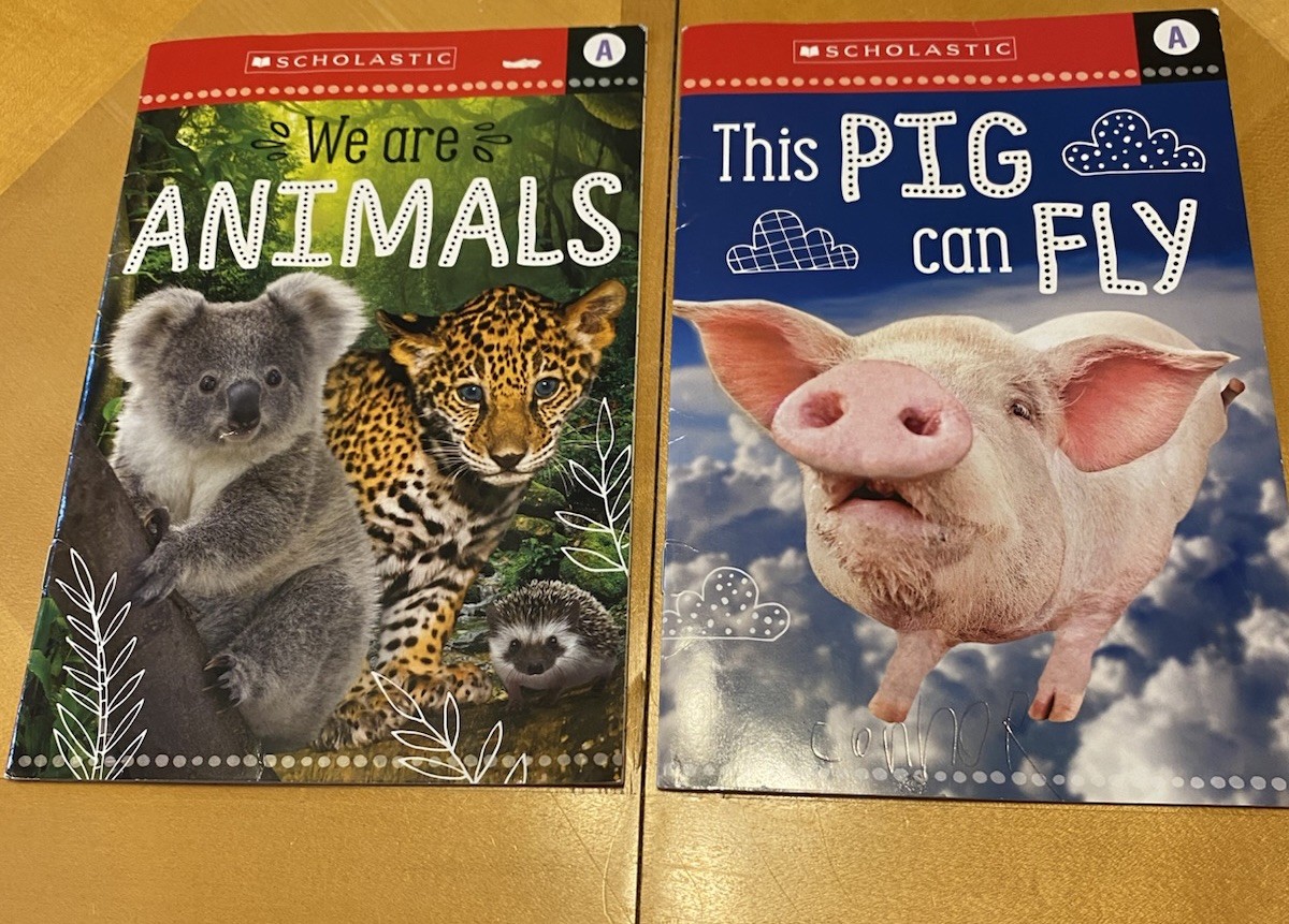 Set Of 8 (4 Level A, 4 Level B) Scholastic Make Believe Ideas Kids Books