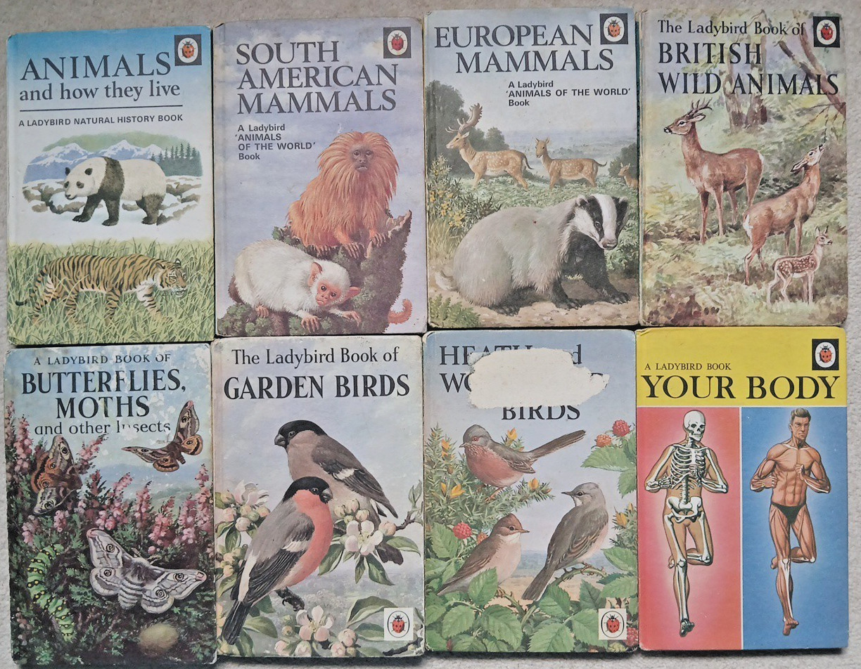 Ladybird Nature Books Job Lot (8) – Birds Animals Mammals Butterflies Your Body