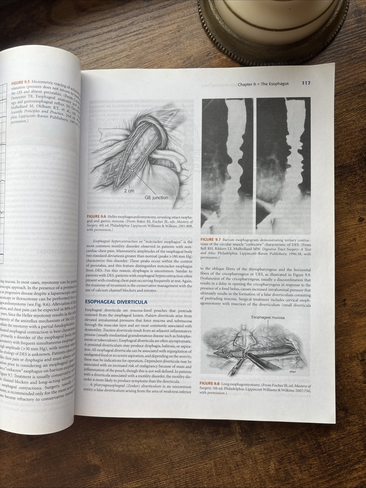 Surgical Review : An Integrated Basic and Clinical Science Study Guide by Paige
