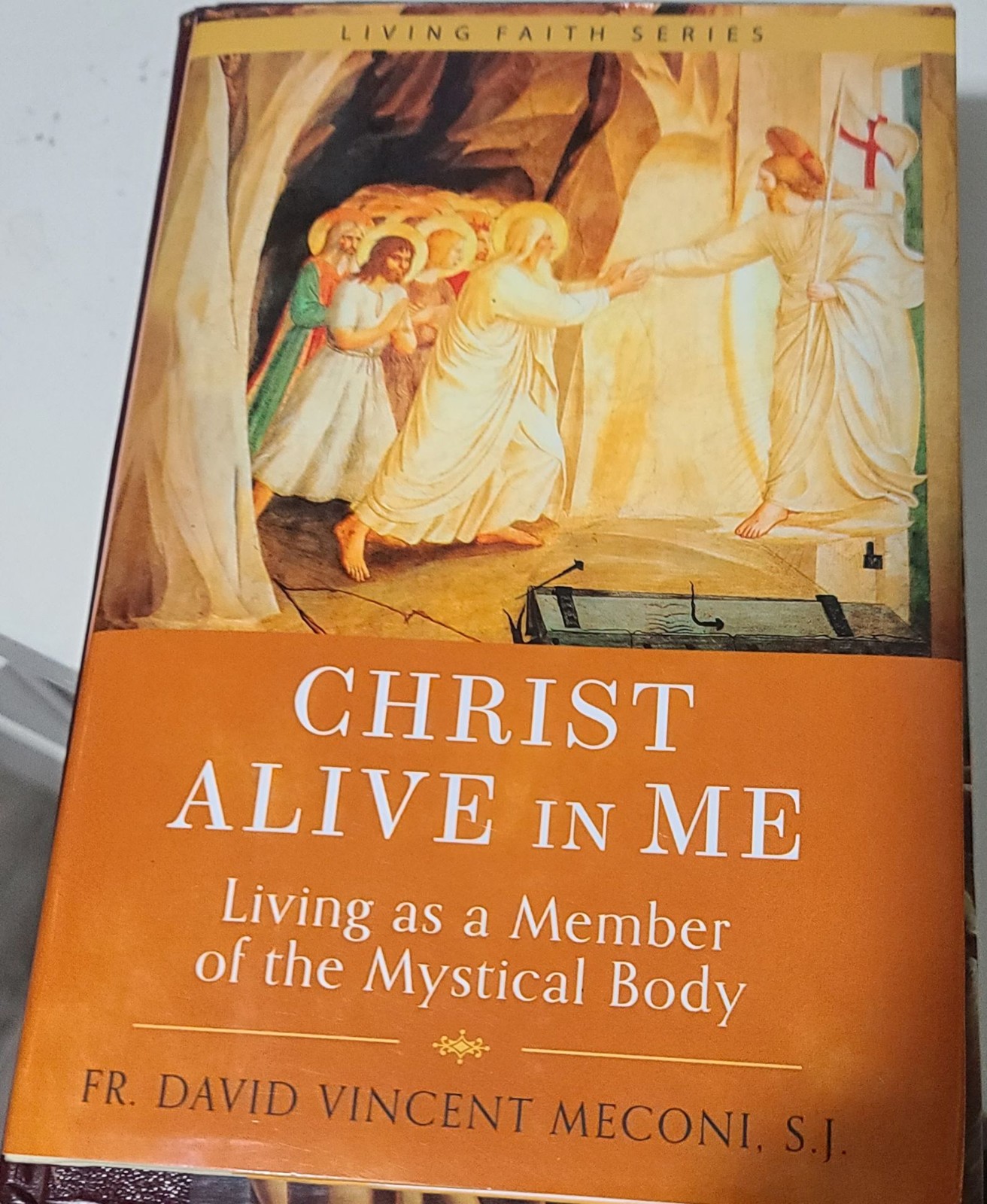 Christ Alive in Me by Fr. David Vincent Meconi, S.J. (Hardcover, 2021)