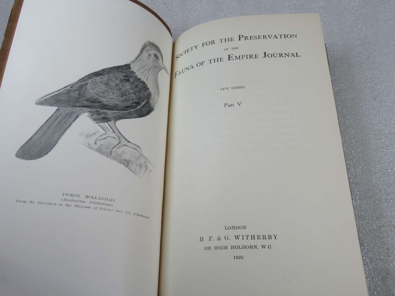 1921-27 Journal of the Society For the Preservation of the Fauna of the Empire