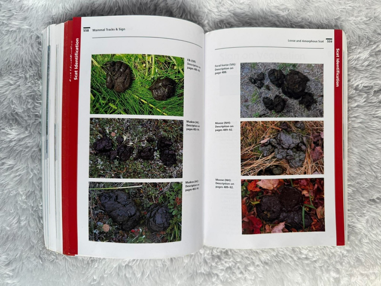 Mammal Tracks & Sign A Guide to North American Species 9780811726269