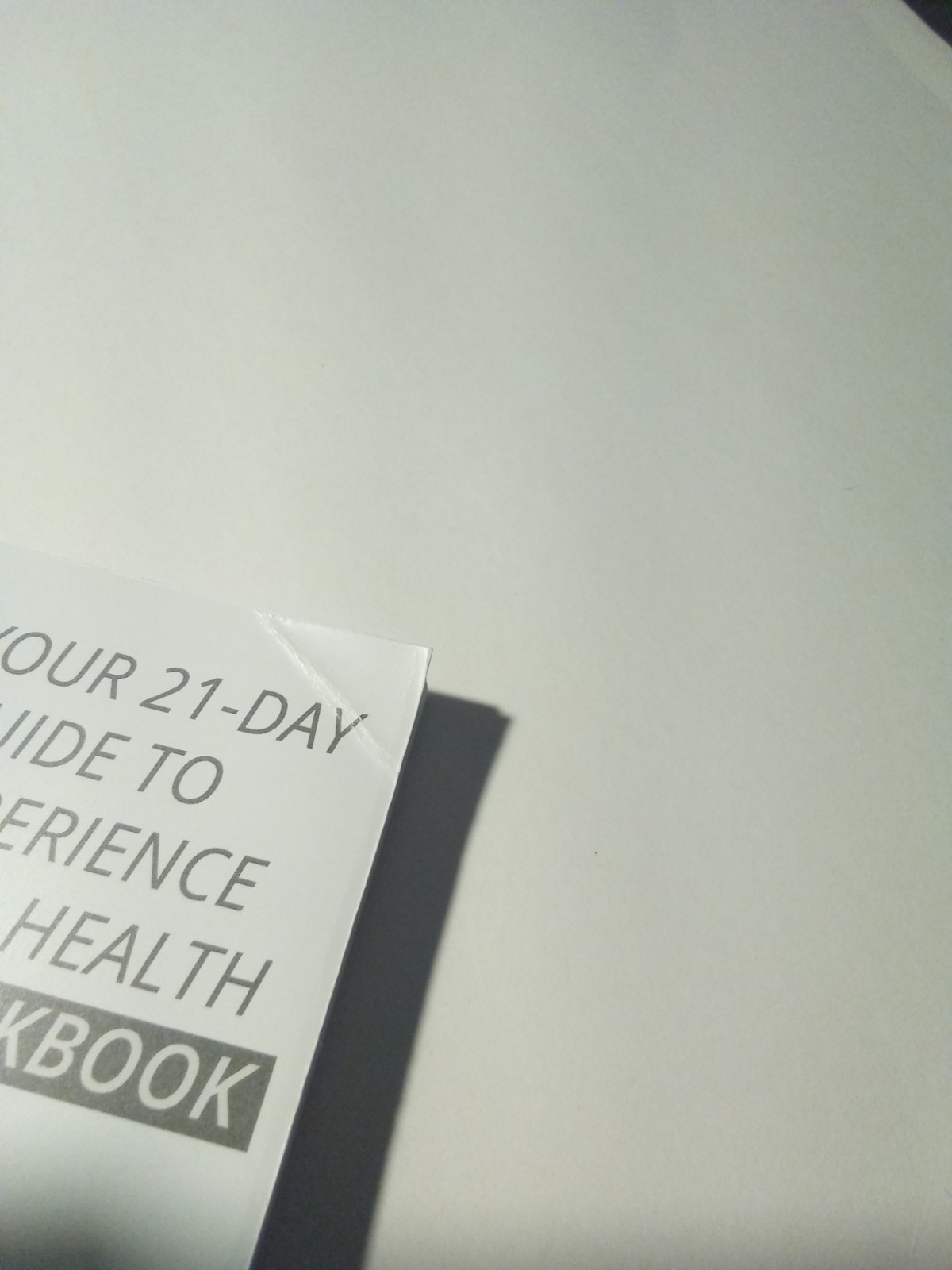 LIVIN GOOD DAILY Your 21- Day Guide To Experience Real Health Includes Workbook