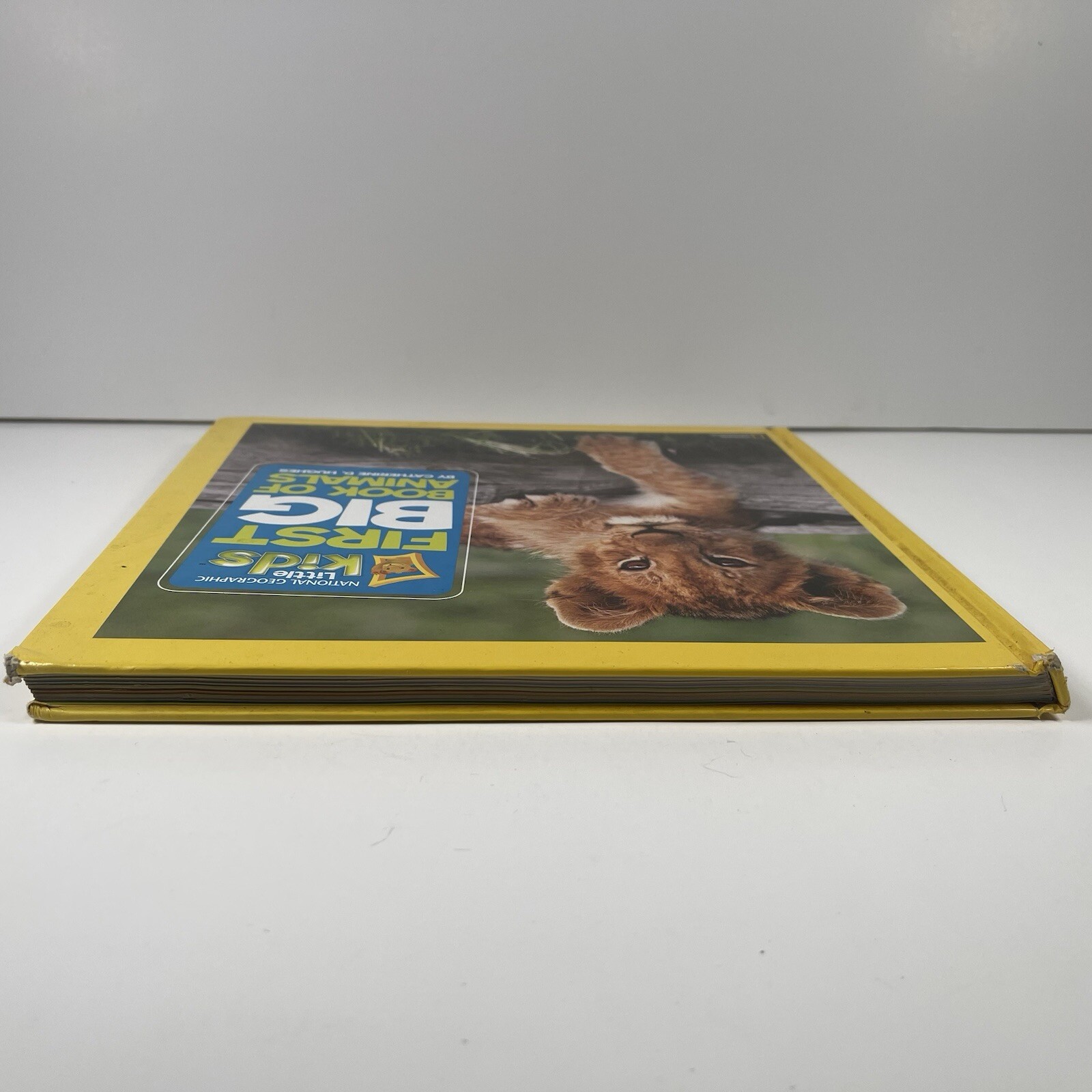 National Geographic Little Kids First Big Book of Animals By Catherine D. Hughes