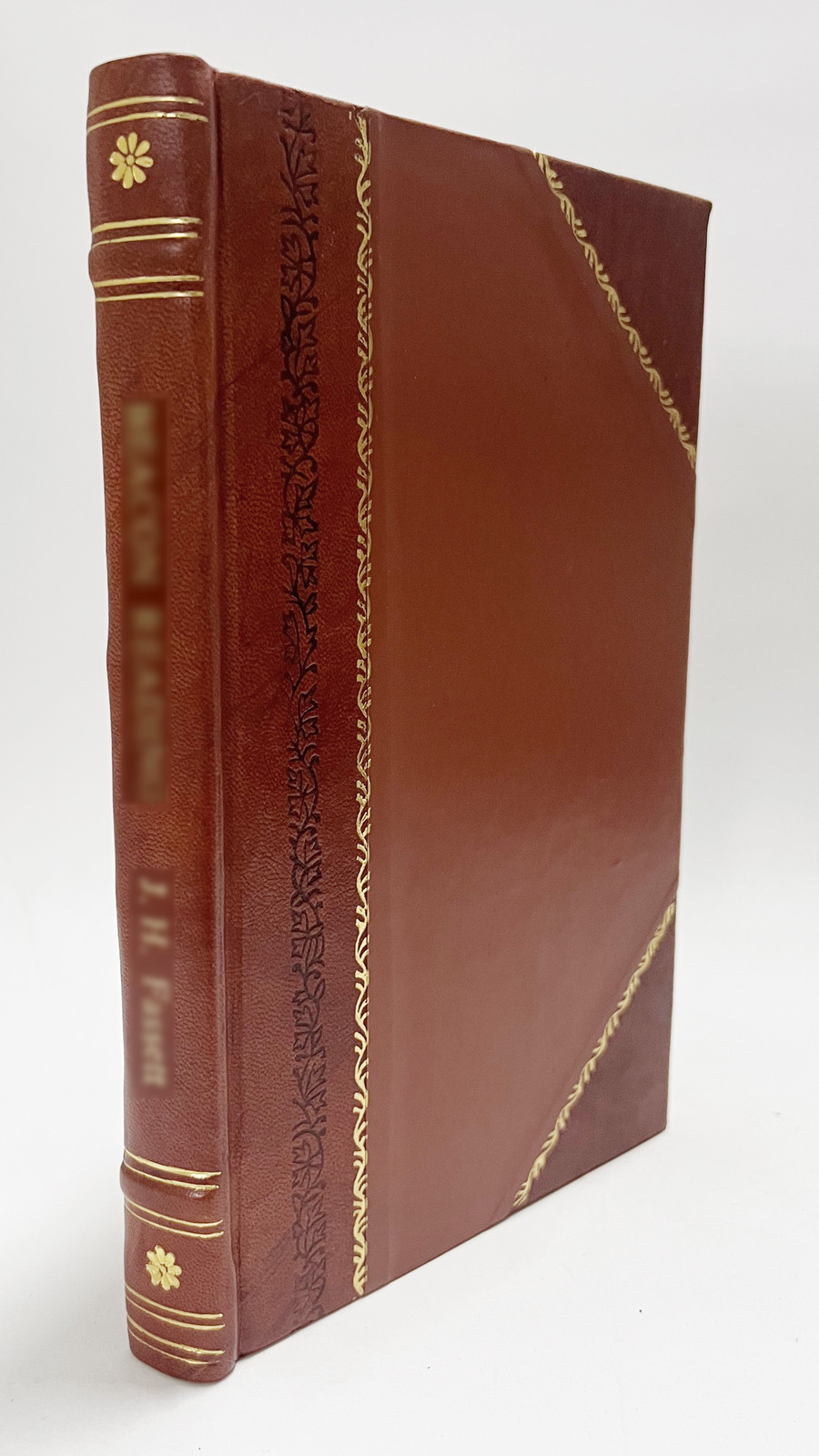 Secret History of the French Court under Richelieu and Mazarin [Leather Bound]
