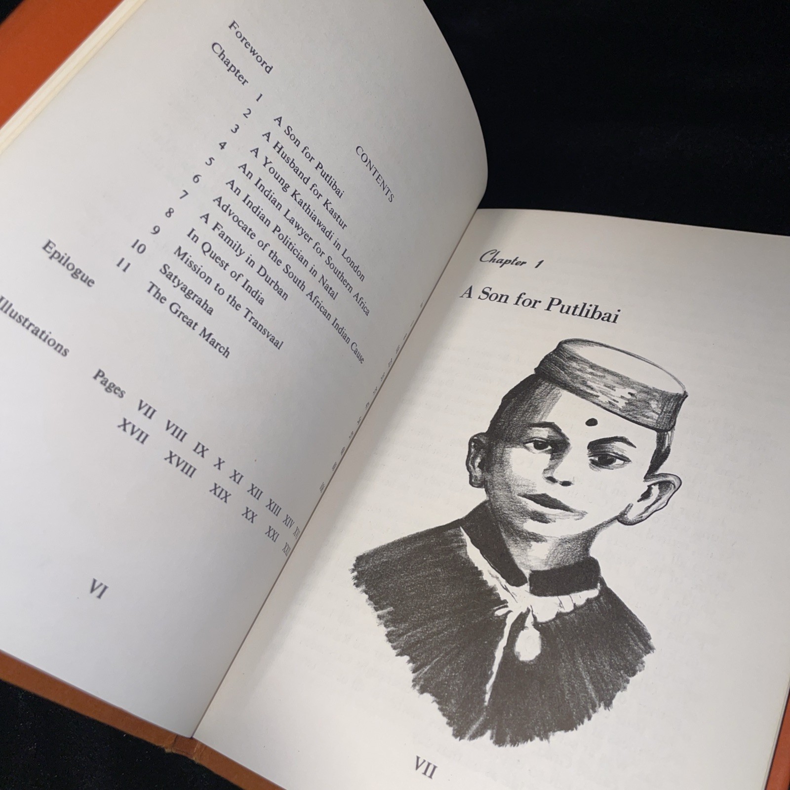 Young Mahatma Gandhi hardback Apprenticeship of a … Fatima Meer India