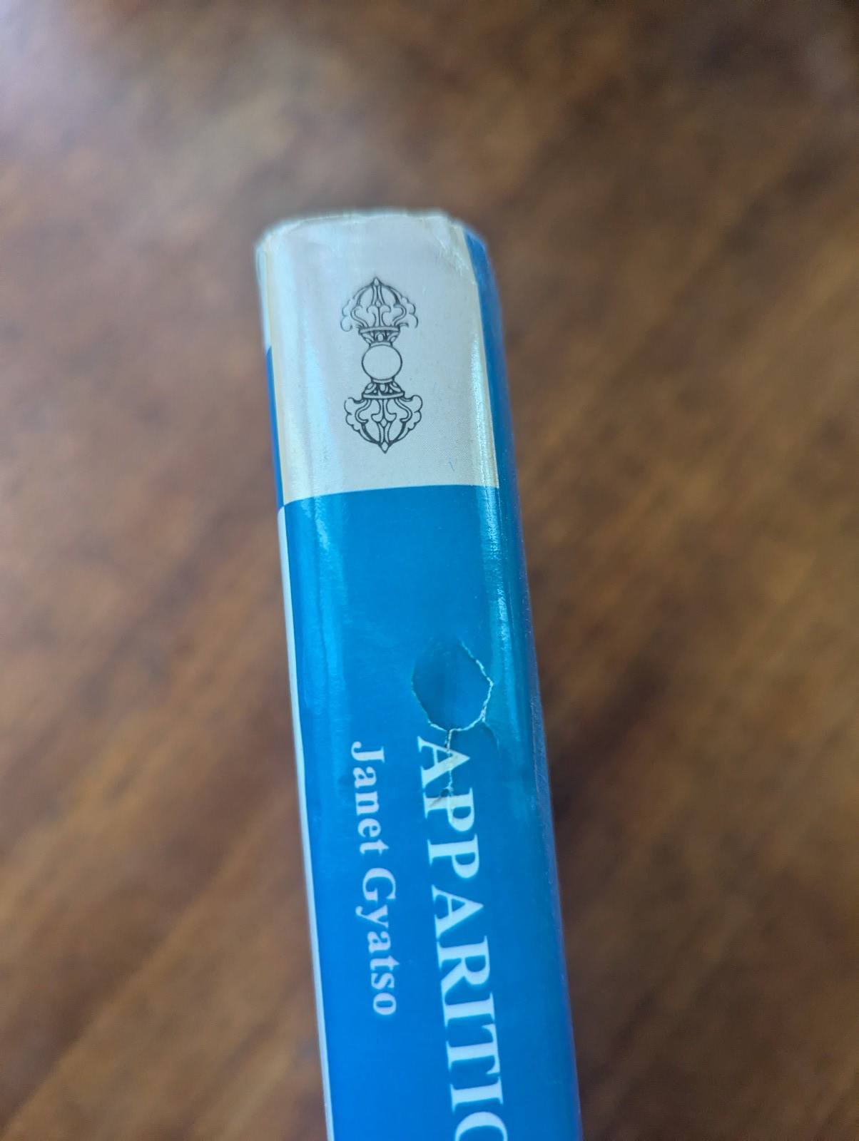 Apparitions of the Self: The Secret Autobiographies of a Tibetan Visionary HC VG