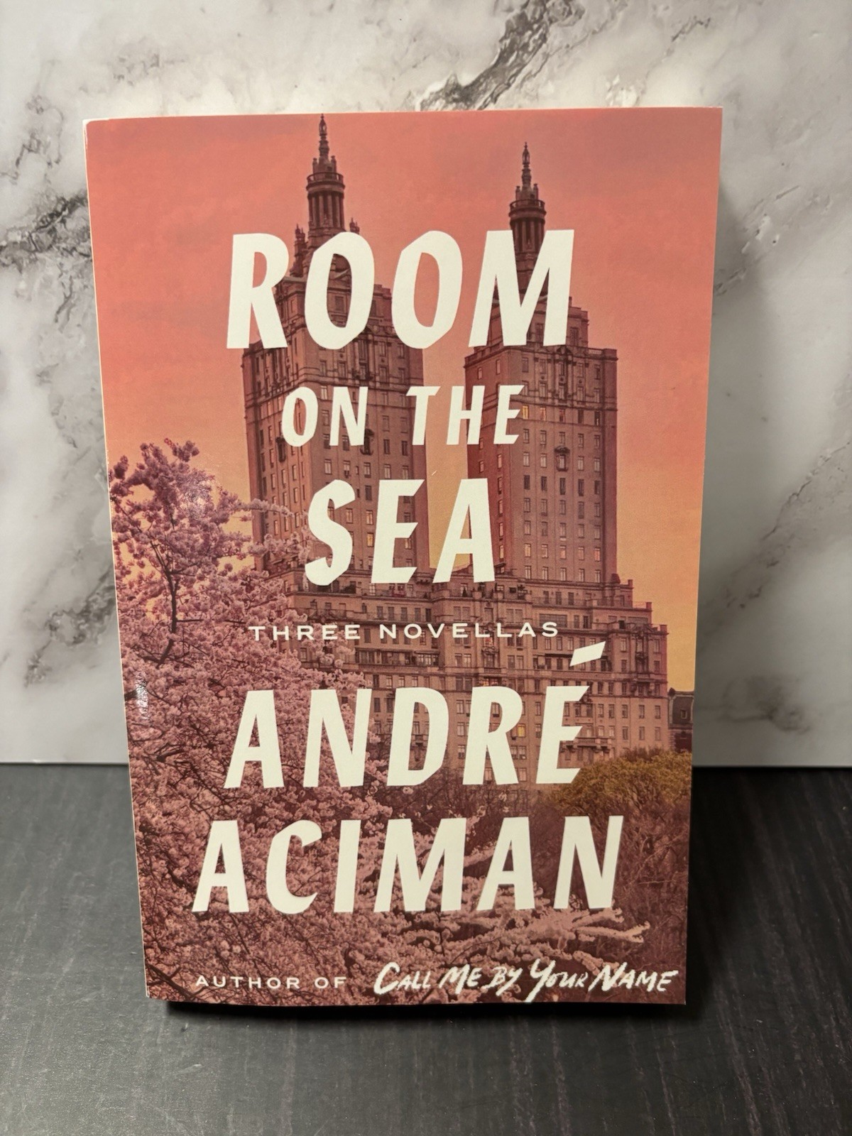 Room on the Sea: Three Novellas by André Aciman (softcover)