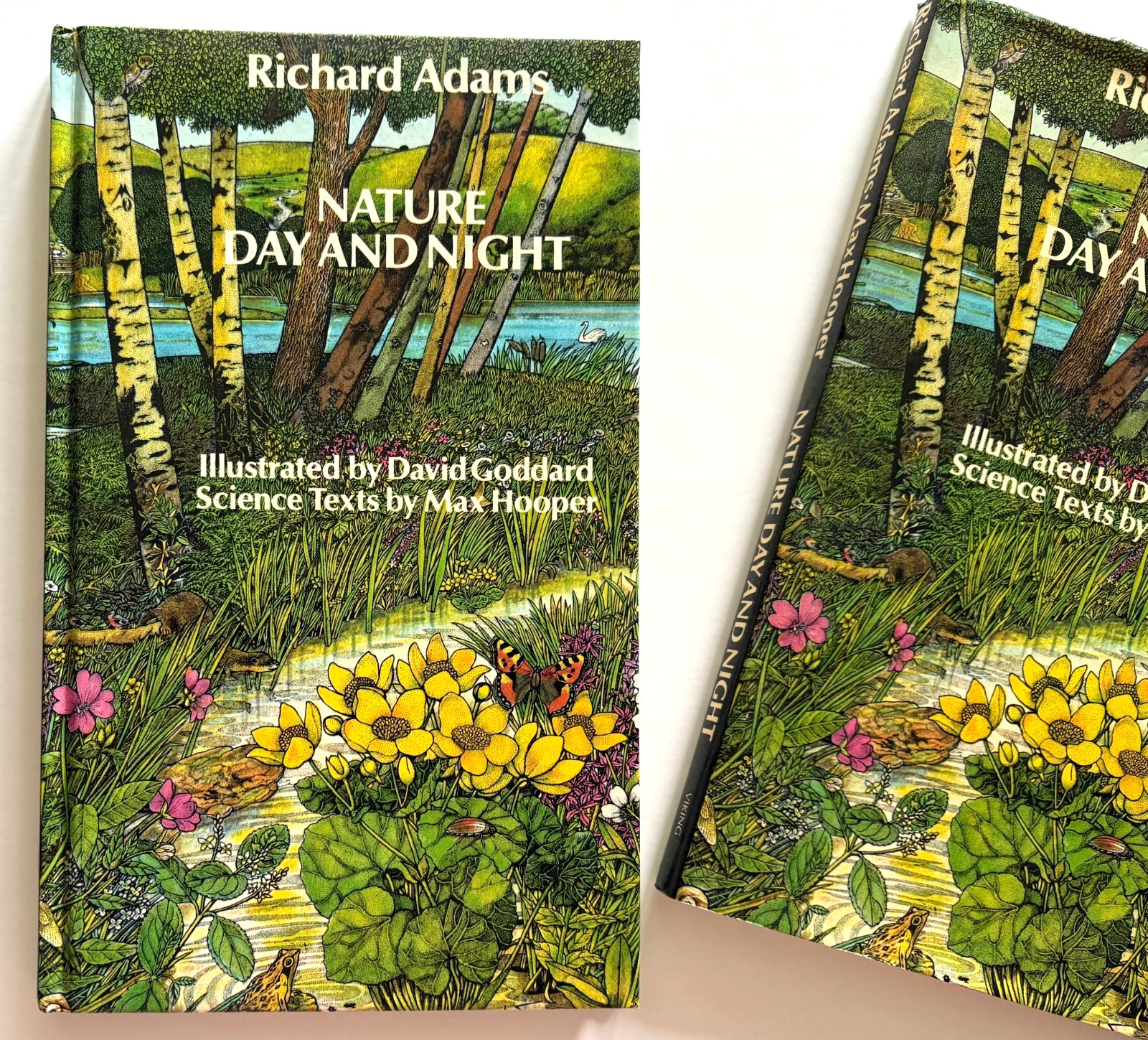 VINTAGE RICHARD ADAMS NATURE DAY AND NIGHT DAVID GODDARD ILLUSTRATIONS HC BOOK
