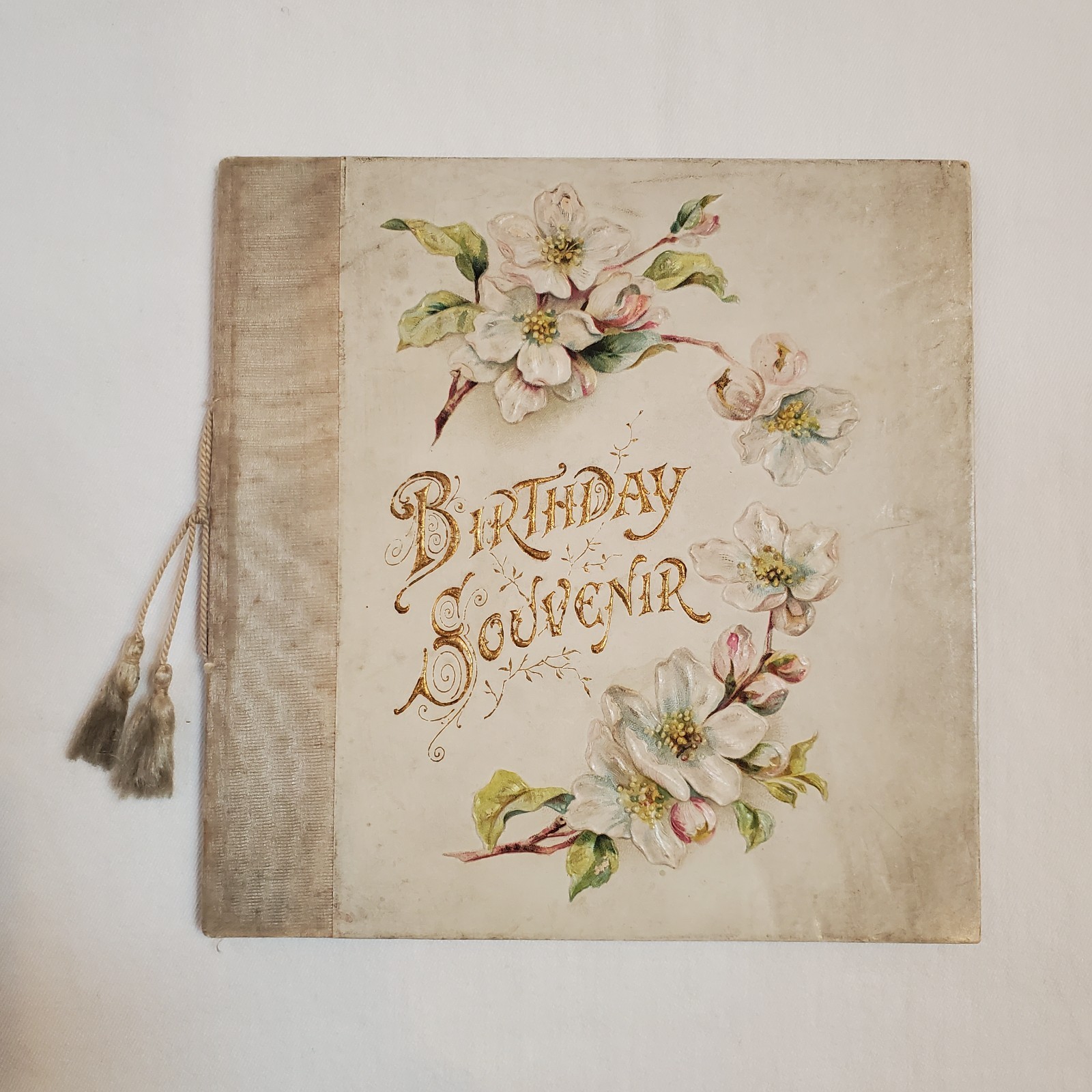 Vintage Birthday Souvenir Hardcover Book early 1900’s Gibson Cinci OH Germany