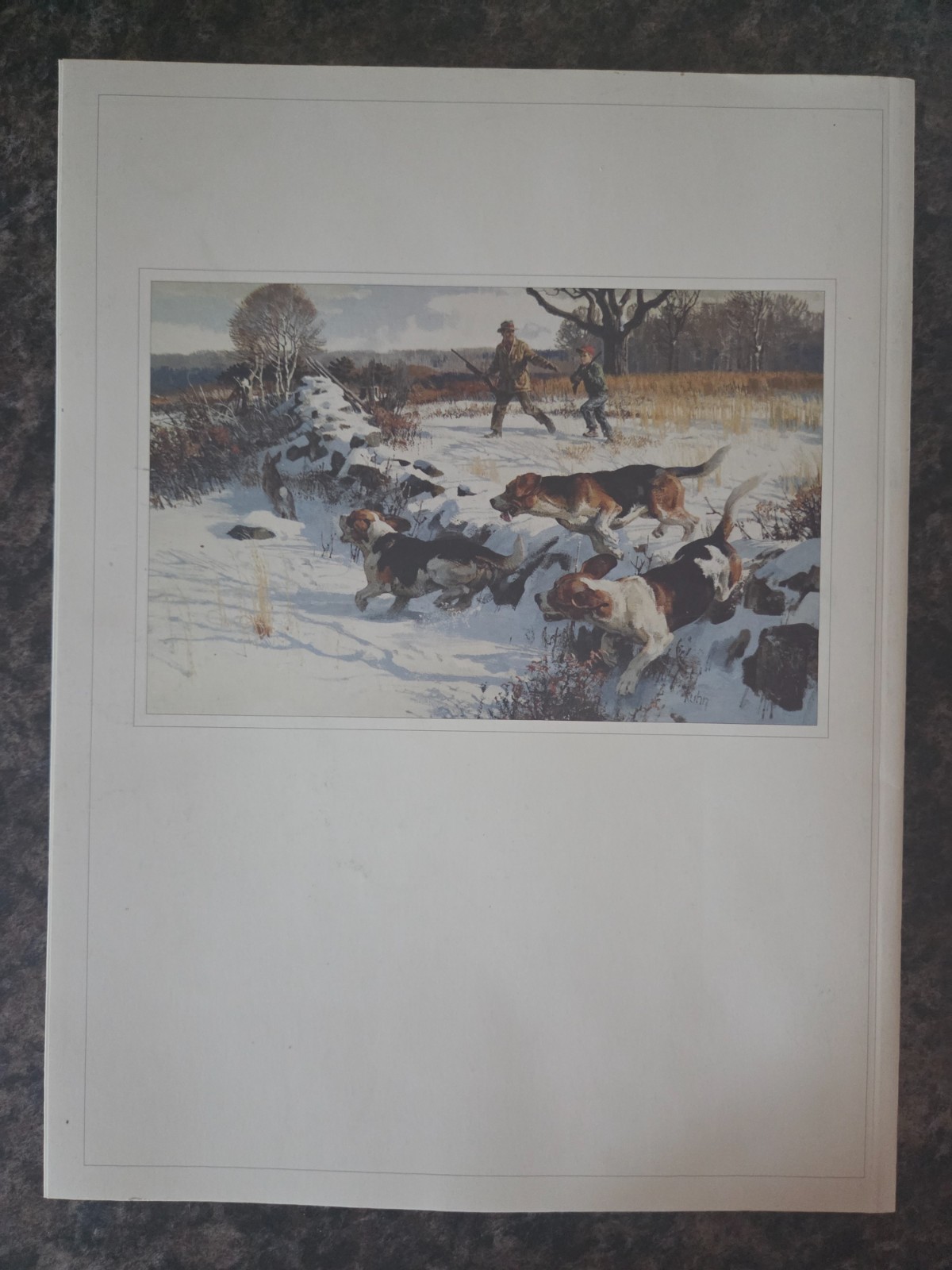 Gray’s Sporting Journal Volume 35 Issue 6 November/December 2010