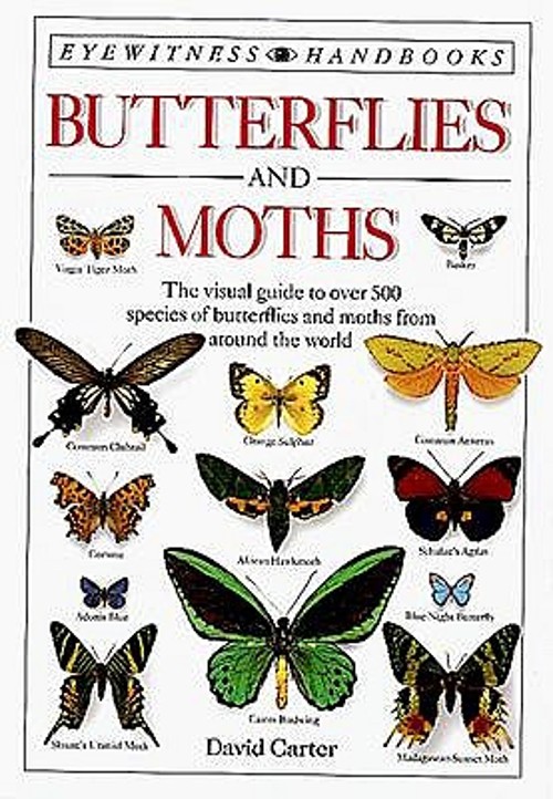 Butterflies and Moths Paperback David A. Carter