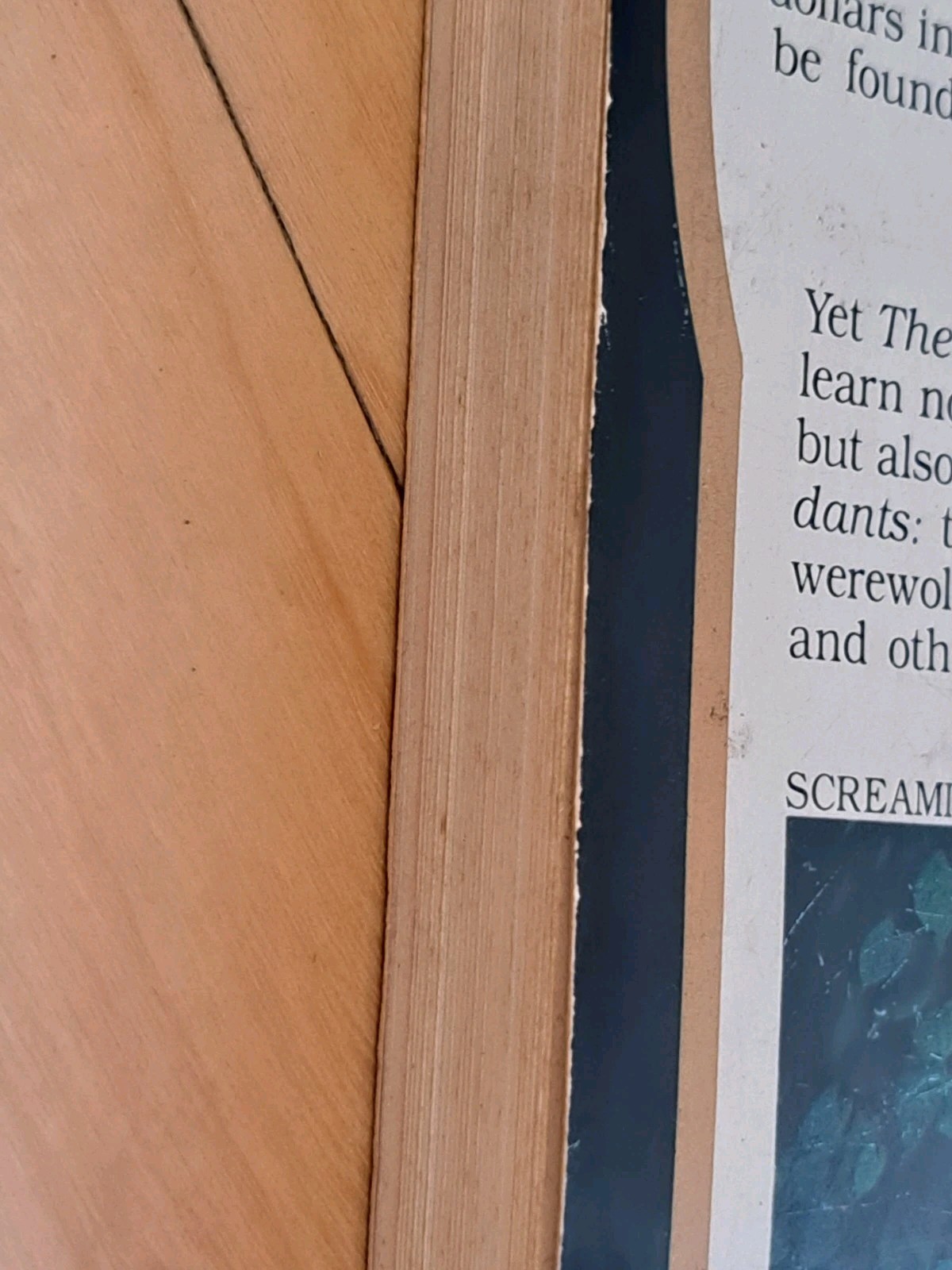 The Secret: A Treasure Hunt 1982 First Edition Bantam Paperback Palencar Preiss