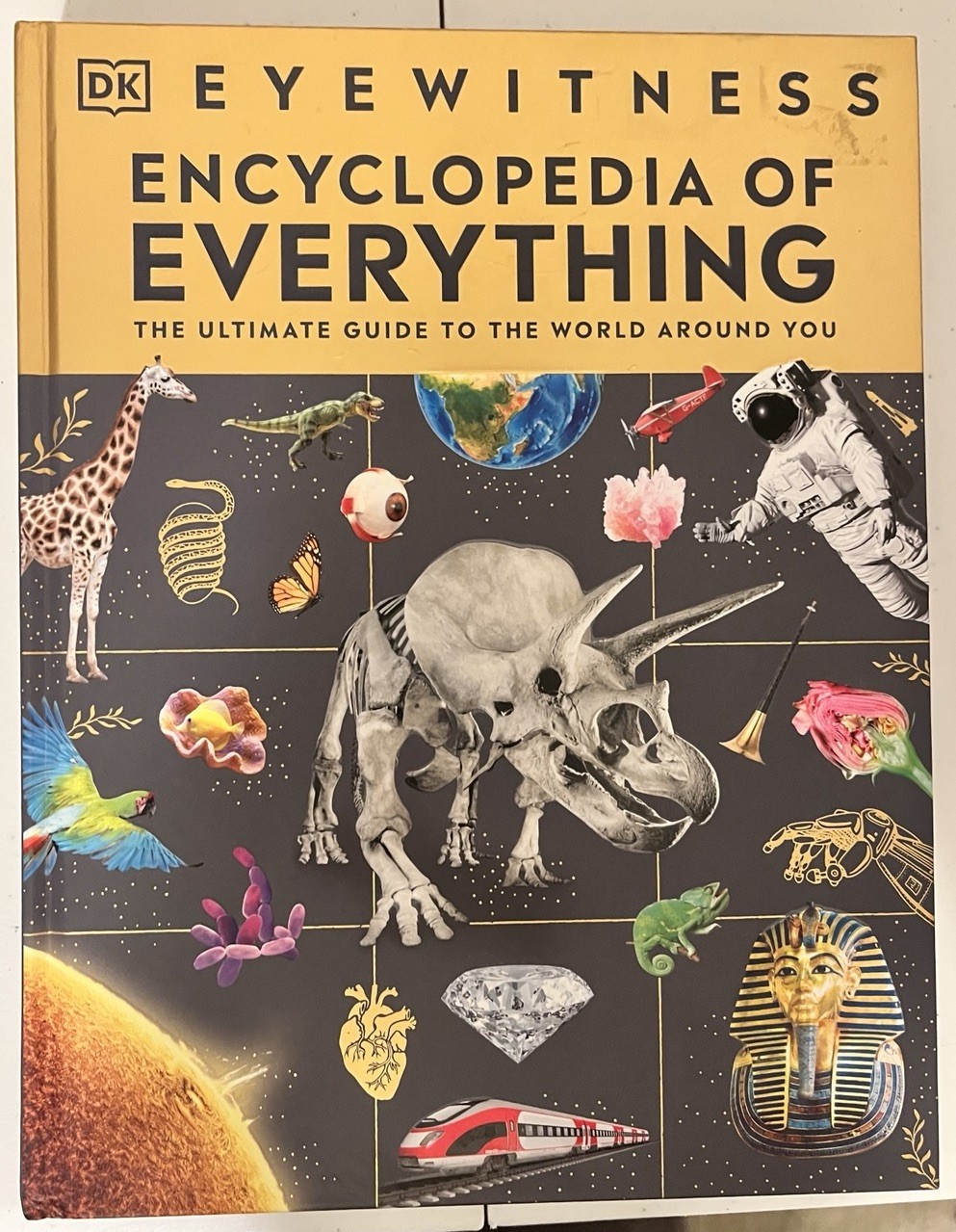 Eyewitness Encyclopedia of Everything: The – Hardcover, by DK – Very Good