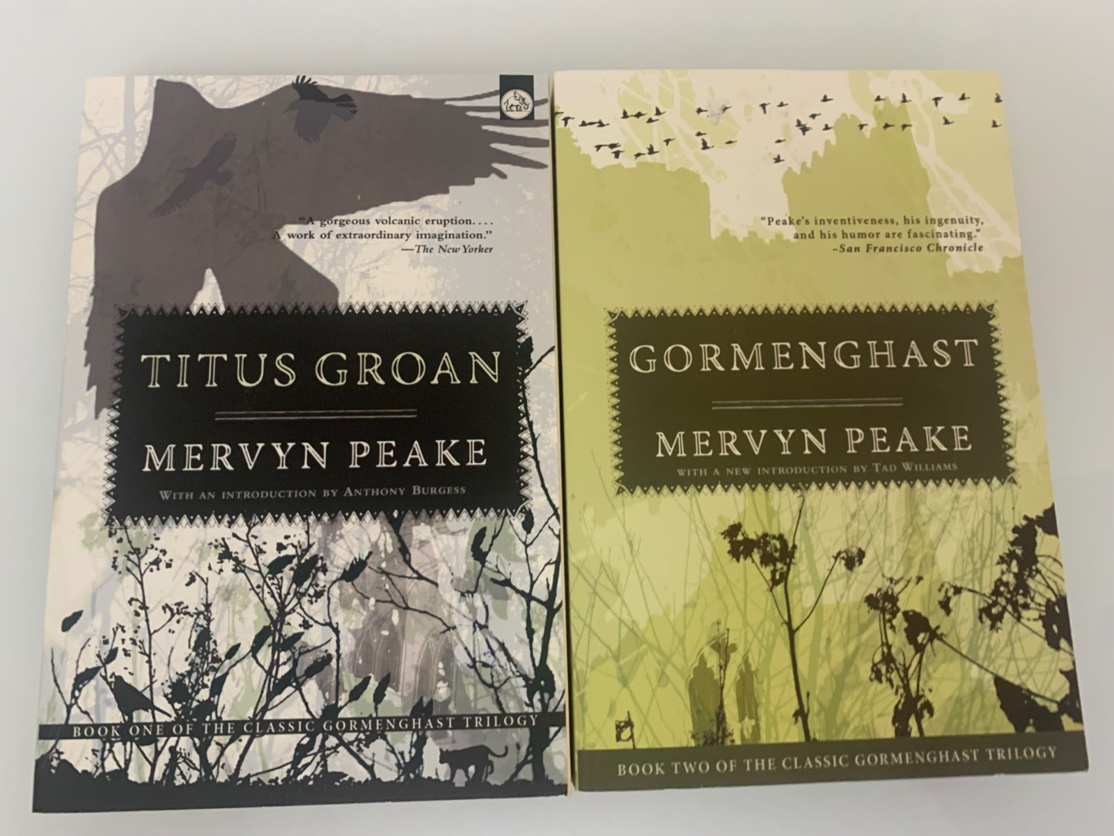Mervyn Peake Gormenghast Trilogy Volume 1 and 2 TPB Overlook Press VG