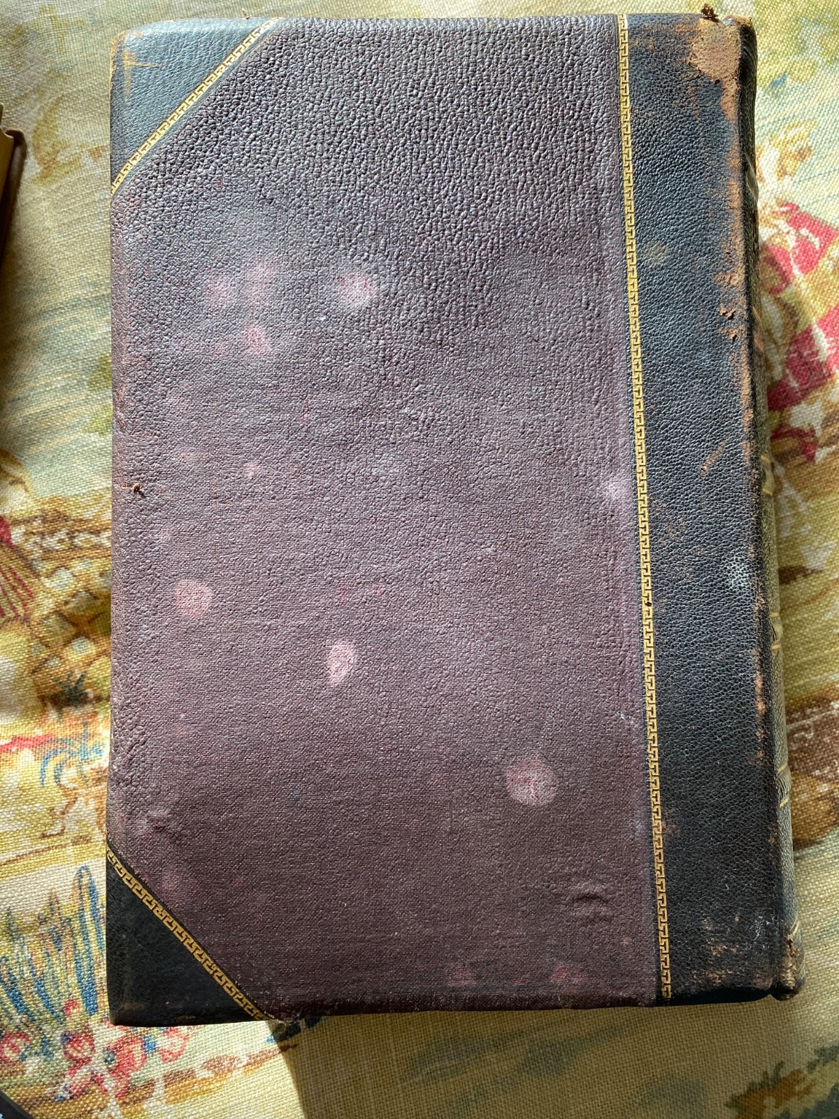 1885, The Prehistoric World: Or, Vanished Races, EA Allen, Profusely Illustrated