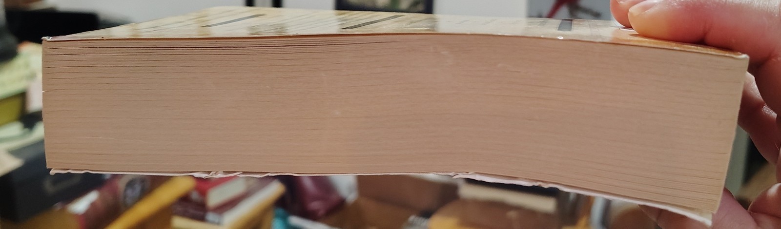 Book Thief by Markus Zusak