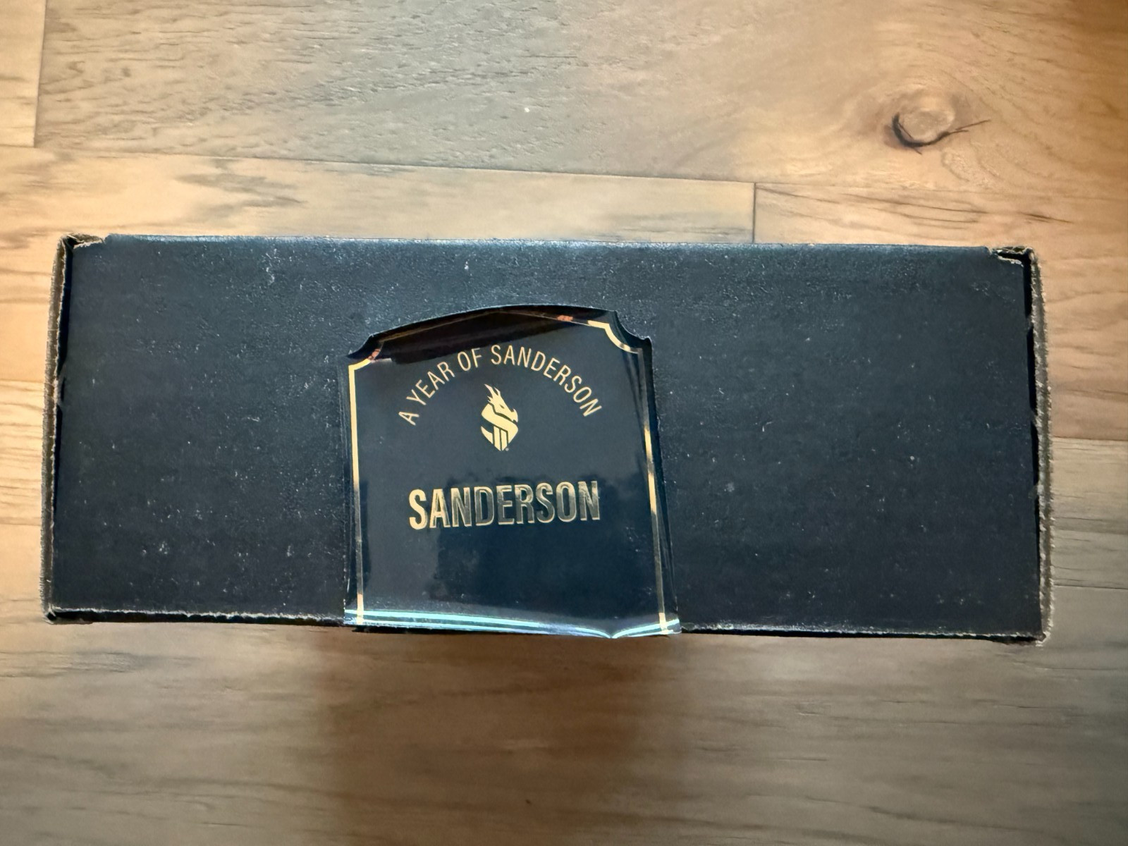 Year of Brandon Sanderson Sanderson Swag Box Dragonsteel Kickstarter With Pins