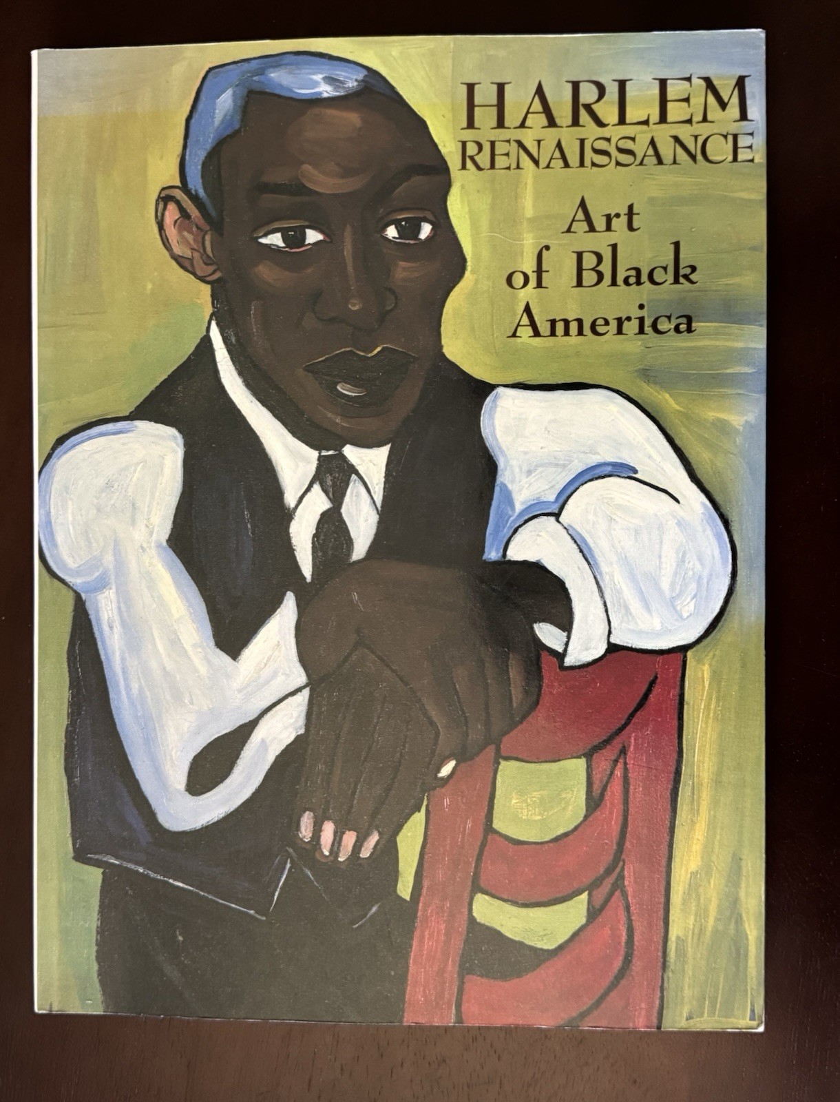 1994 Harlem Renaissance: Art of Black America Paperback Book