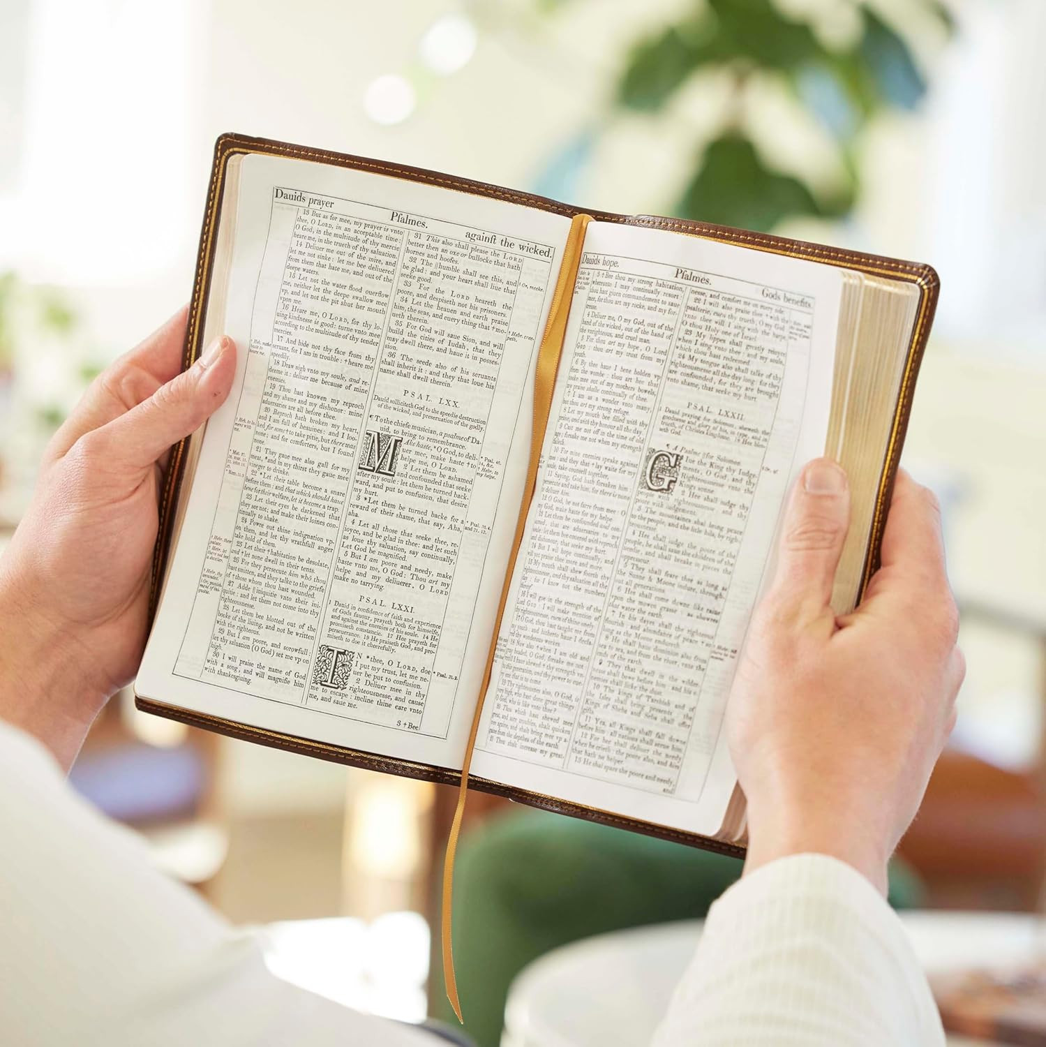1611 KJV with Apocrypha, Brown Leathersoft: Holy Bible