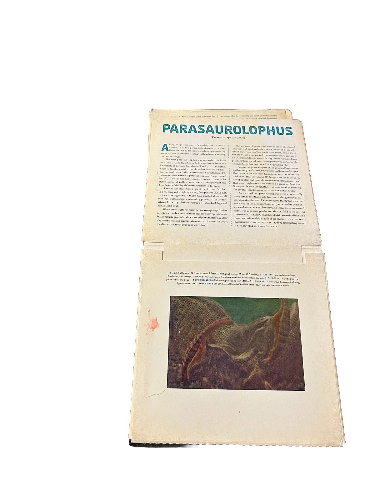 Dinosaur : A Photicular Book by Kathy Wollard and Dan Kainen 2018, Hardcover