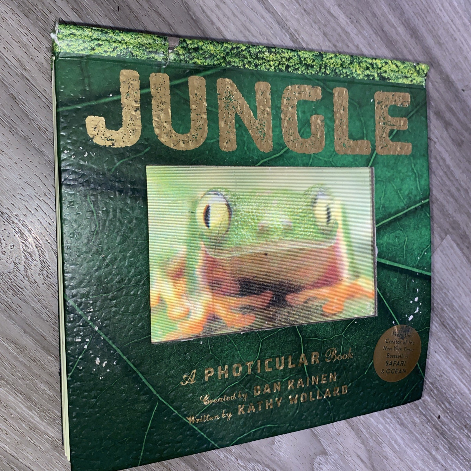 Jungle : A Photicular Book / Kathy Wollard / Dan Kainen (2016, Hardcover)