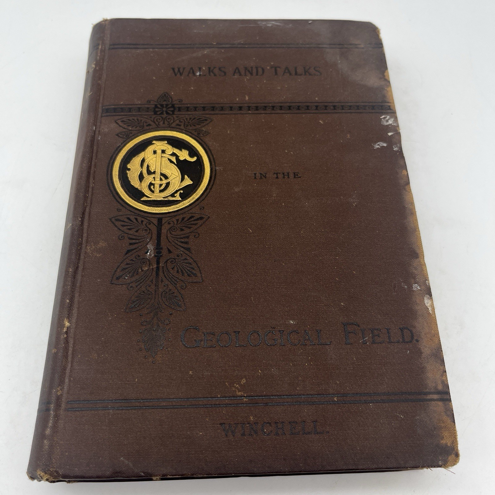 Beautiful 1886 GEOLOGY WALKS And Talks In The Geological Field 1ST ED WINCHELL