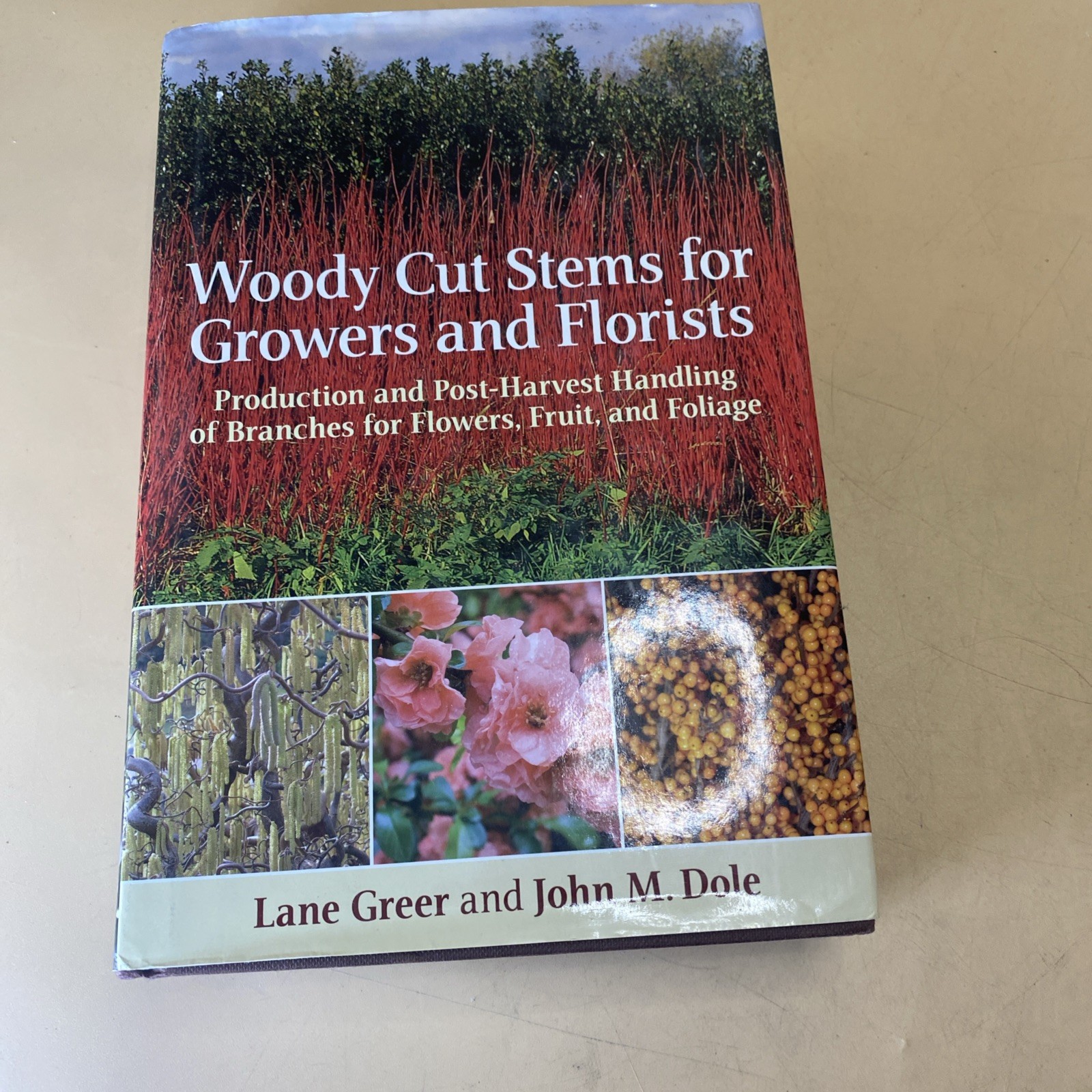 Woody Cut Stems for Growers and Florists [Hb]: Production and… – Greer, Lane