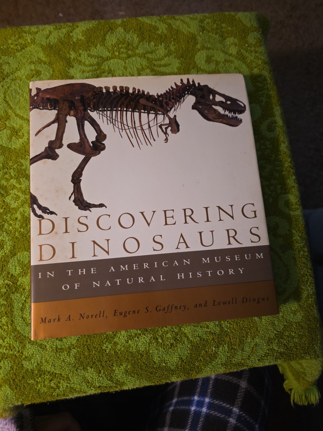 Discovering Dinosaurs In The American Museum Of Natural History
