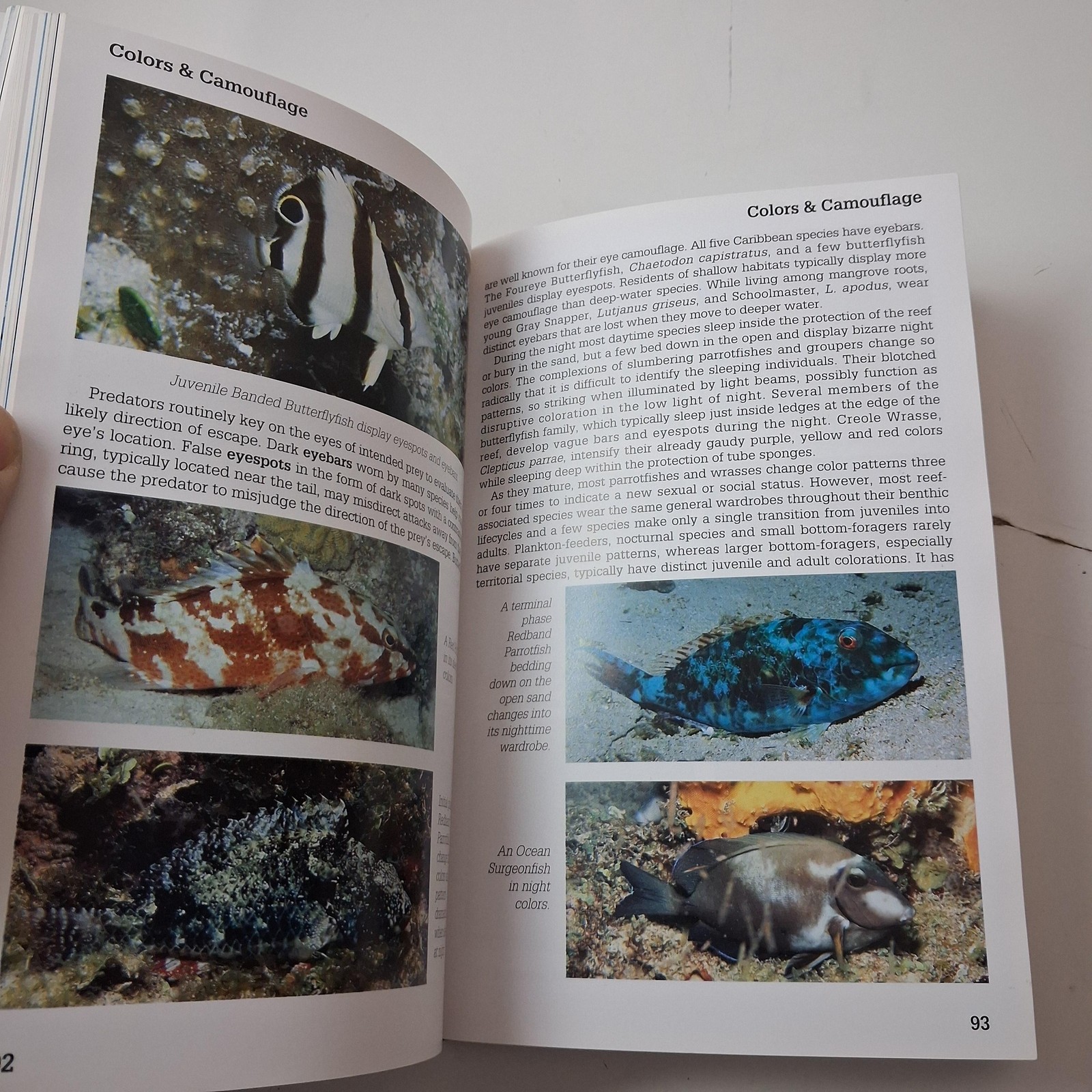 Reef Fish Behavior Florida Carib Bahamas Ned DeLoach Humann Oneworld Black HC