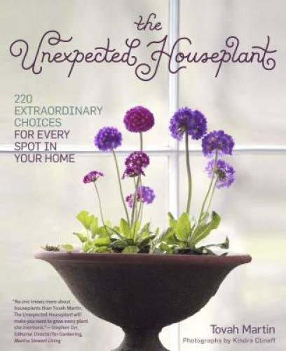 The Unexpected Houseplant: 220 Extraordinary Choices for Every Spot in Yo – GOOD