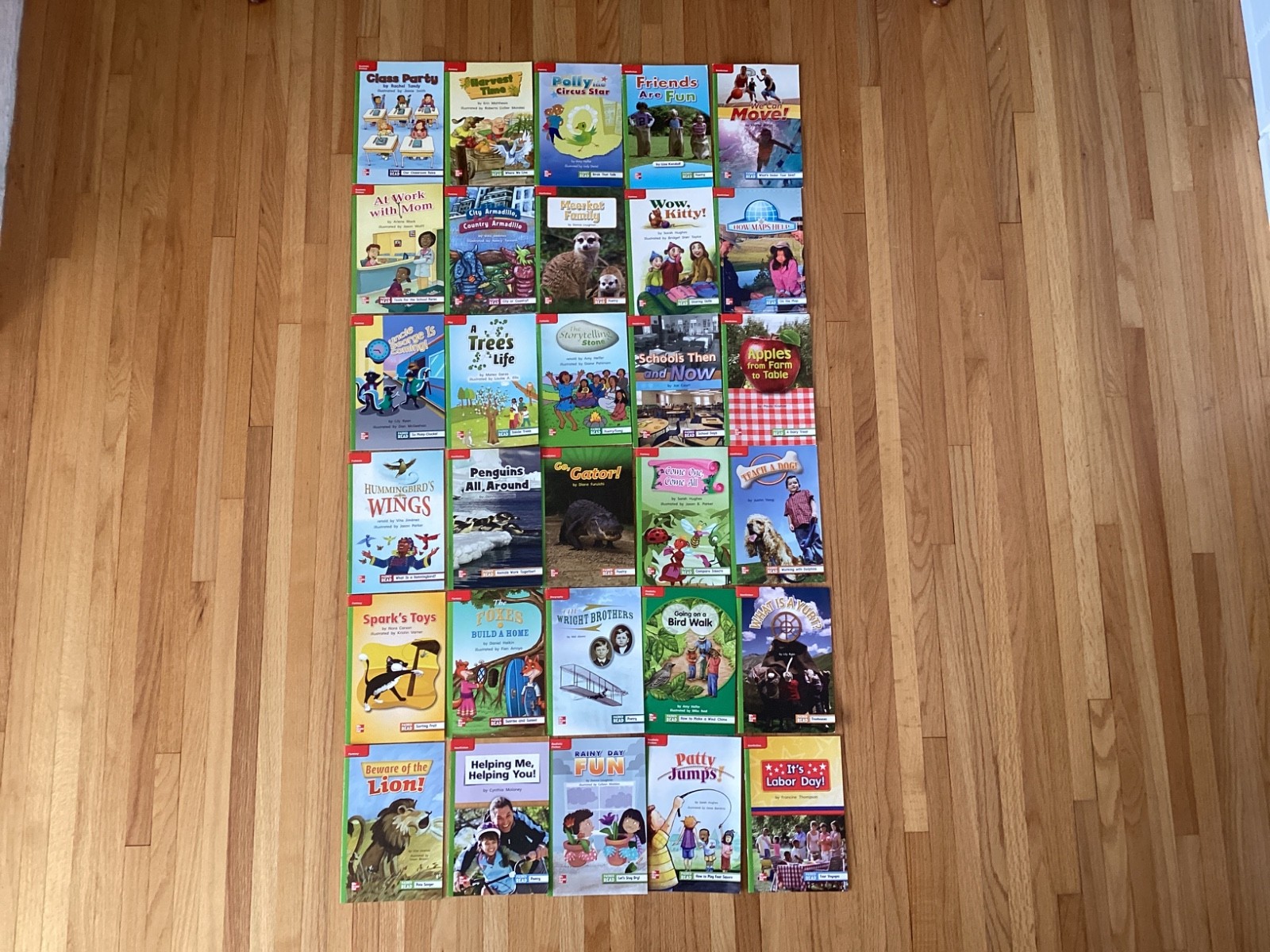 MCGRAW HILL WONDERS LEVELED READERS / GRADE 1 / BEYOND / 30 BOOKS