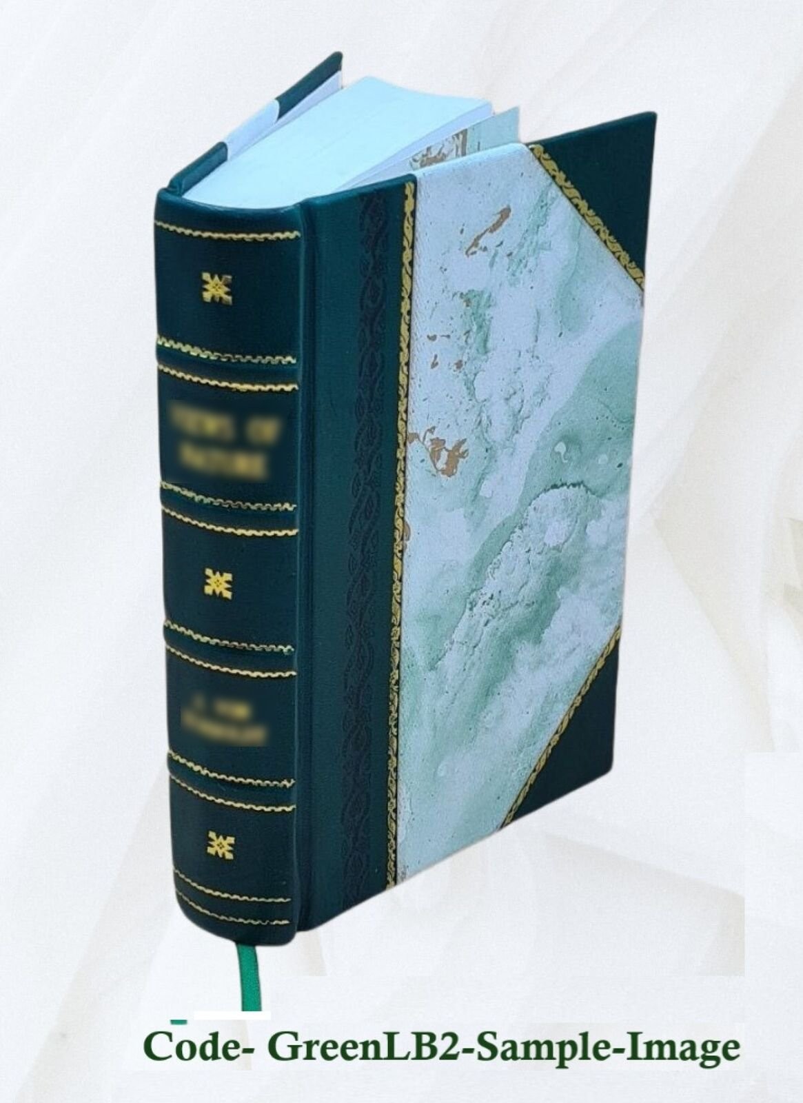 Essays on evolution 1889-1907, by Edward Bagnall Poulton. 1908 [Leather Bound]