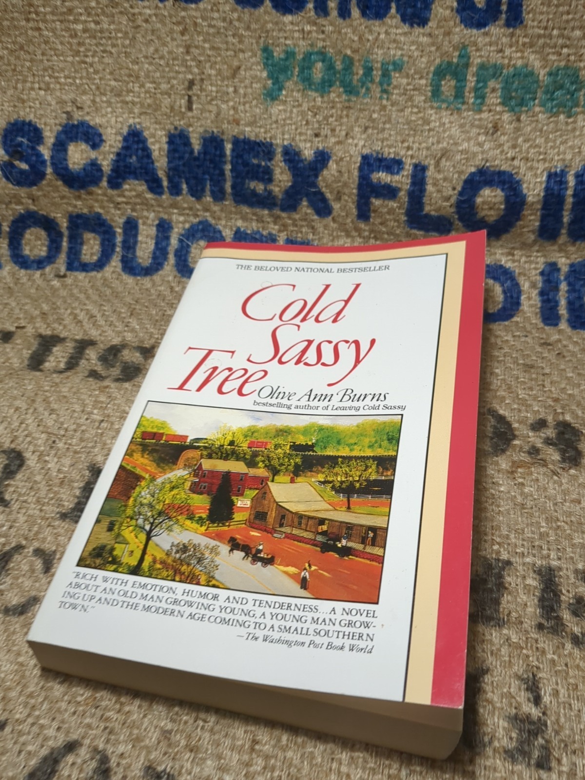Cold Sassy Tree by Olive Ann Burns (1986, Trade Paperback)