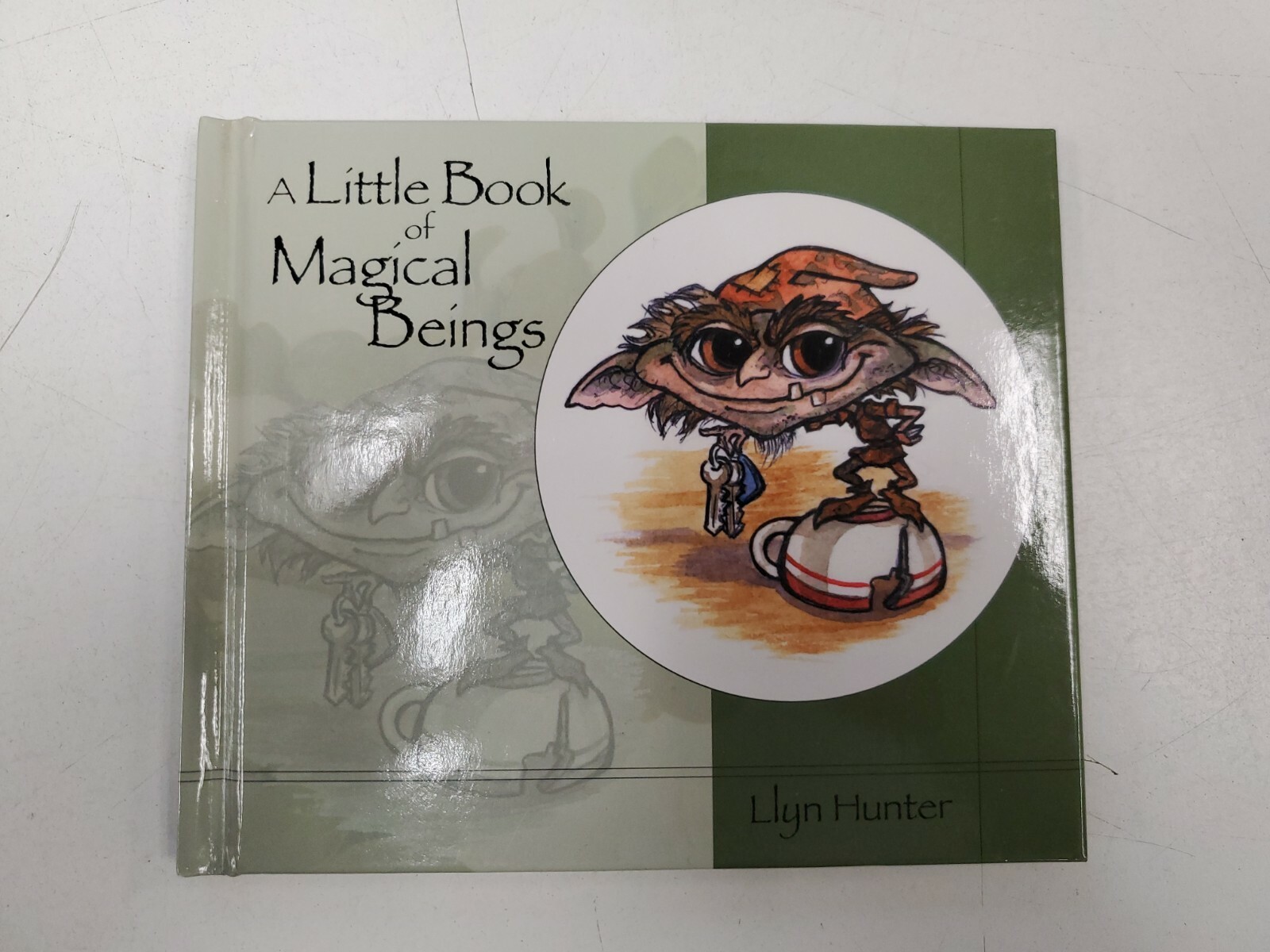 A Little Book of Magical Beings Llyn Hunter 2008 Hardcover 1st edition signed