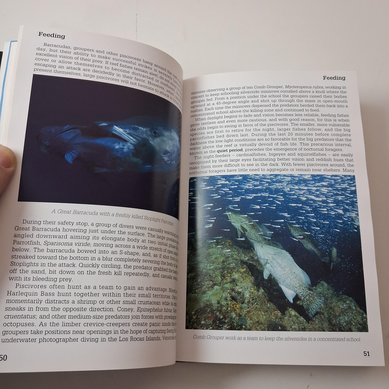 Reef Fish Behavior Florida Carib Bahamas Ned DeLoach Humann Oneworld Black HC