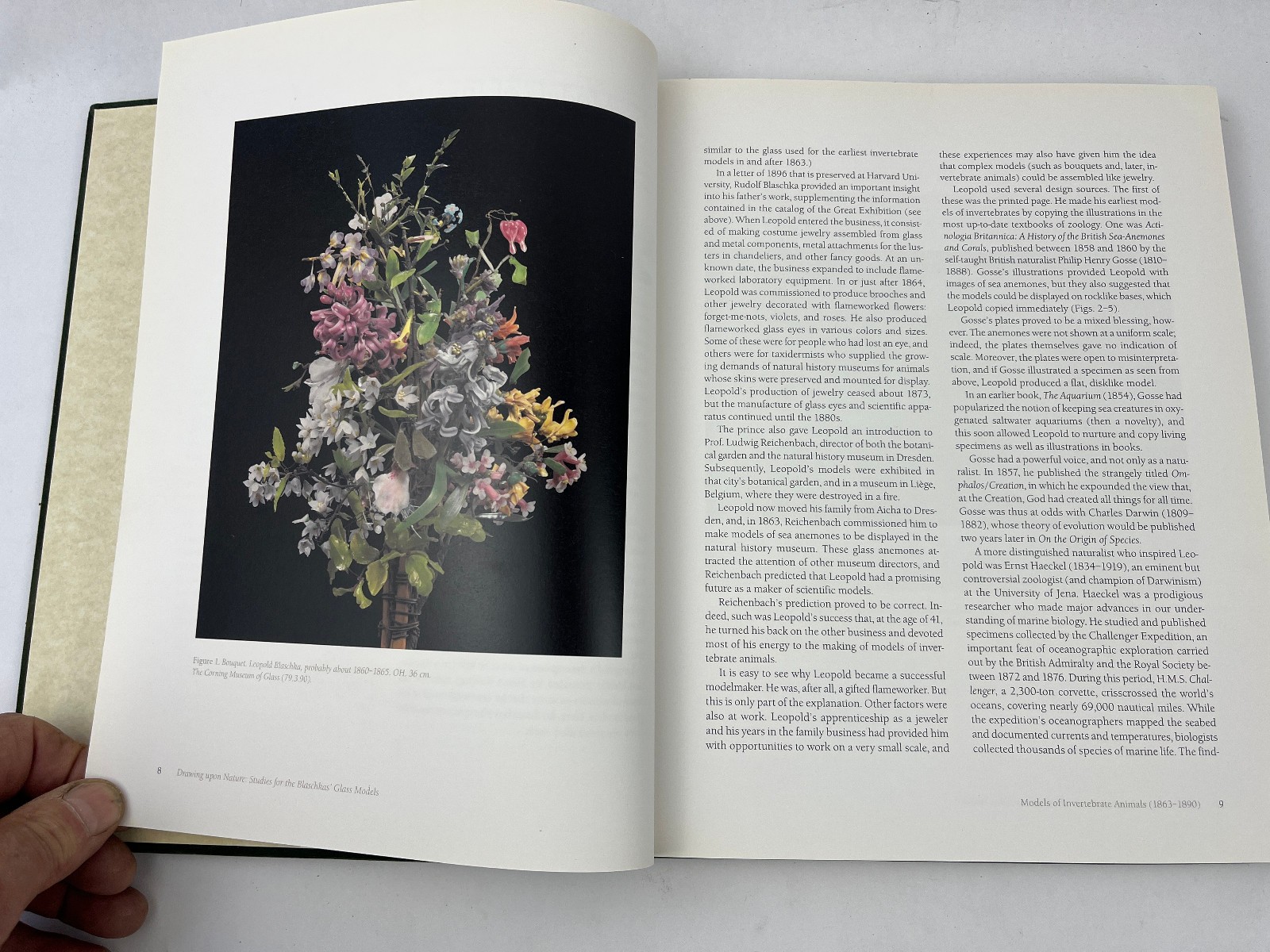 2007 Drawing Upon Nature: Studies for the Blaschkas’ Glass Models Botanical Ills