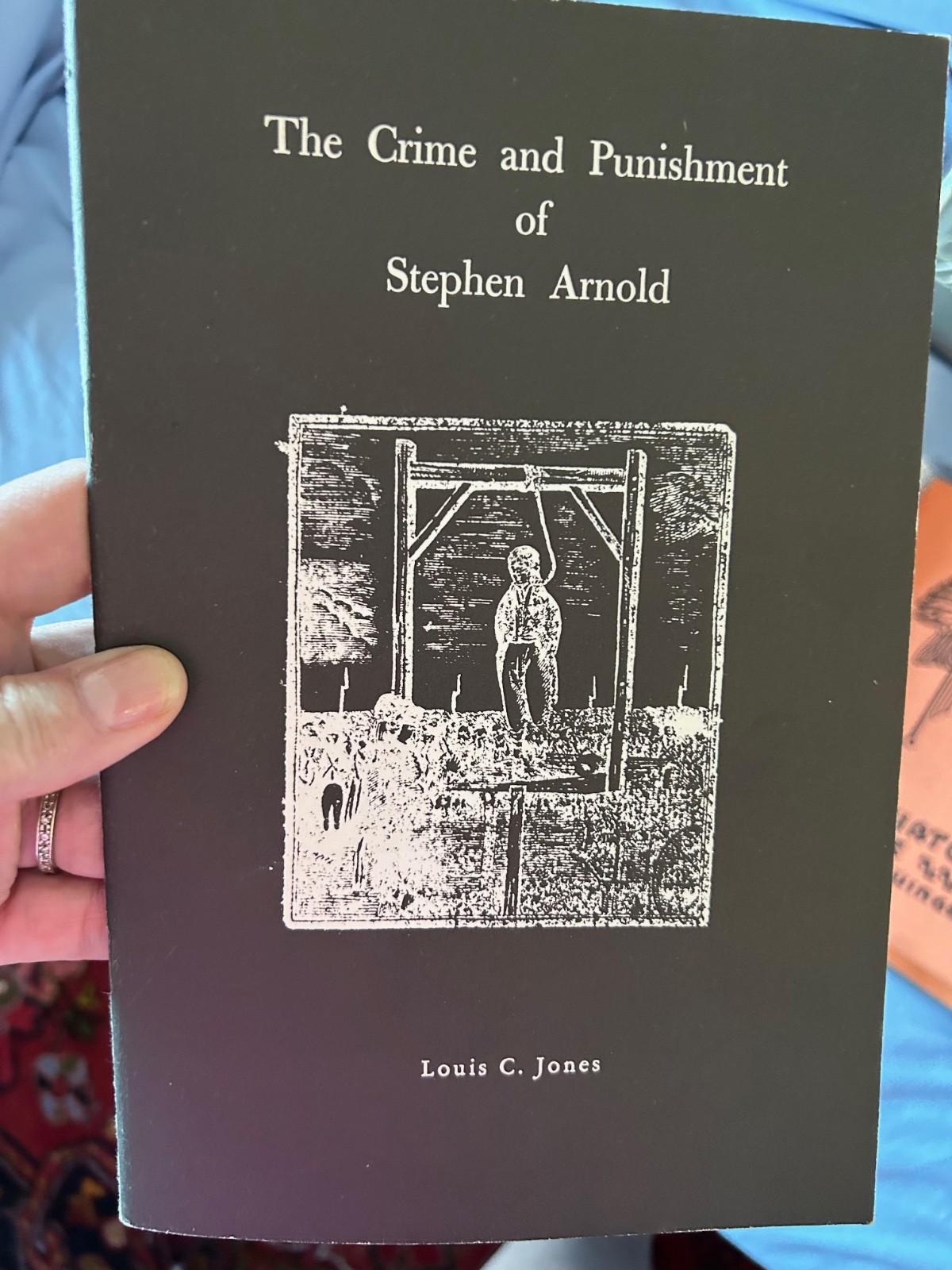 New York NY History Book Stephen Arnold Crime and Punishment Louis Jones 1966
