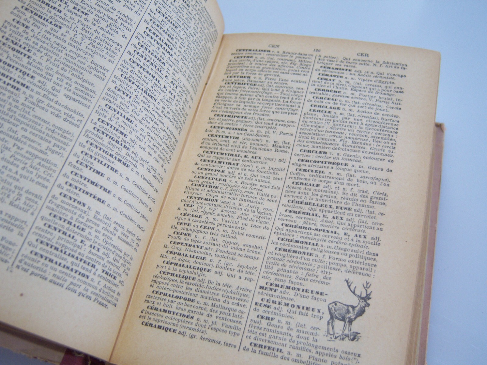 LAROUSSE ELEMENTAIRE ILLUSTRE French Illust 1926 Dictionary Ornate Antique Book