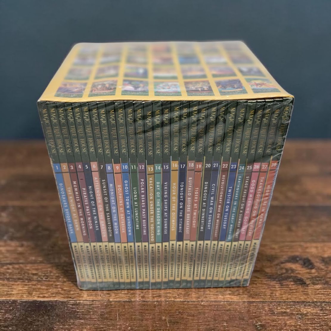 Set 2B: Magic Tree House A Library of Books 1-28 – Mary Pope Osborne Collection