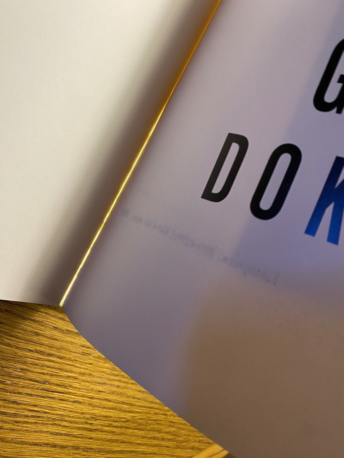 Jiri Georg Dokoupil Art First Edition 1989 Published by Robert Miller, New York